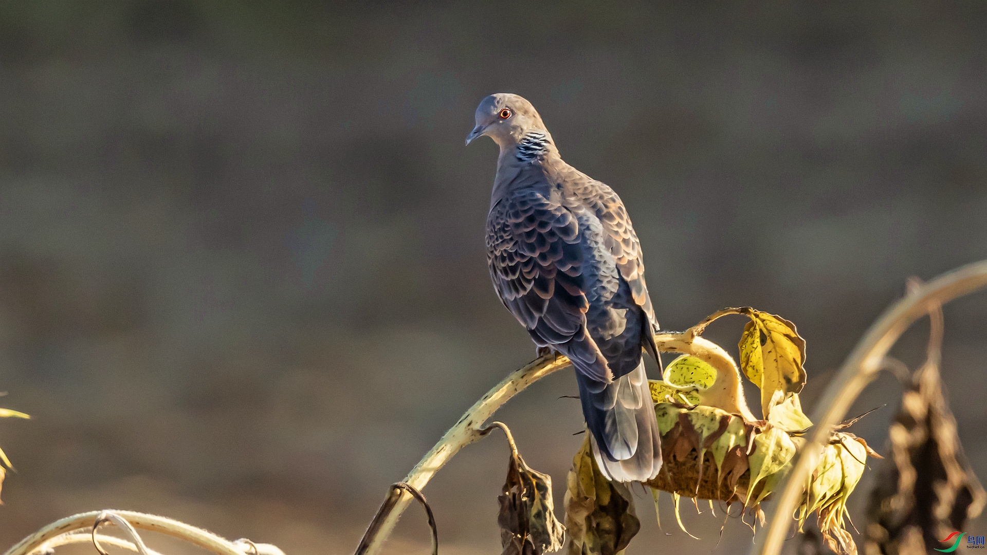 9B0A5702_��ͼ�� ����_����.jpg