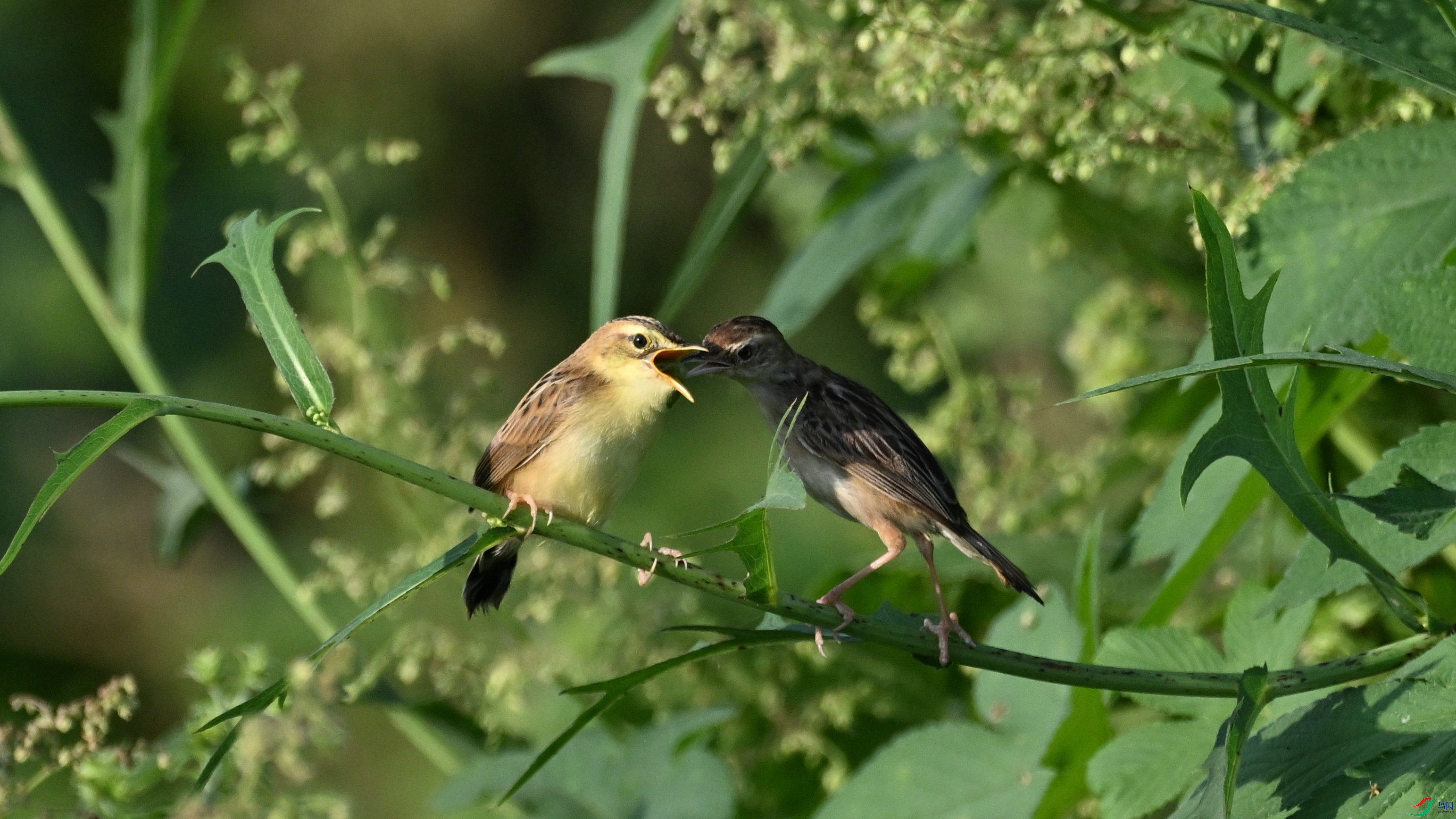 DSC_6376.JPG