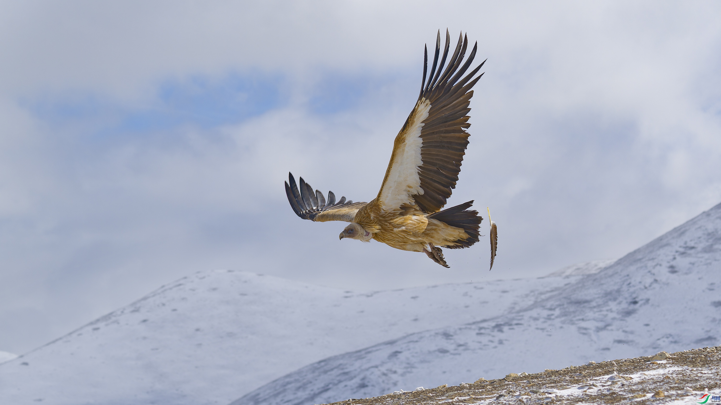 DSC_3645_DxO.jpg