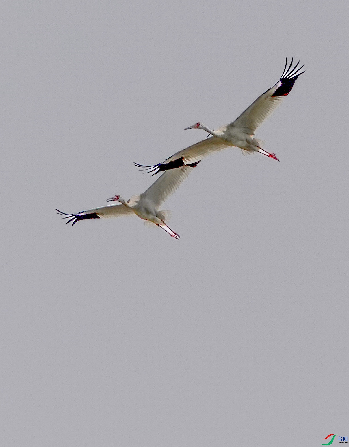 DSC00773.JPG