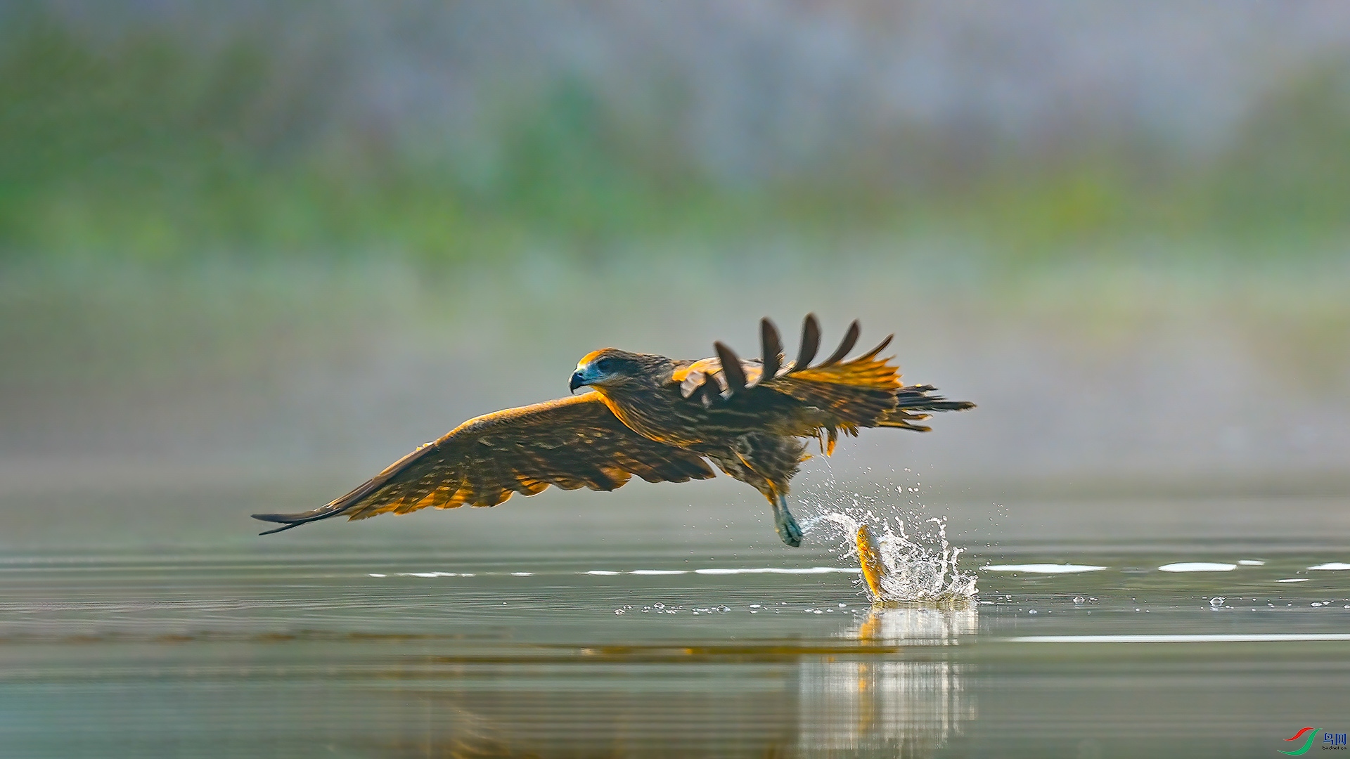 XIA_8259 ���� 4.jpg