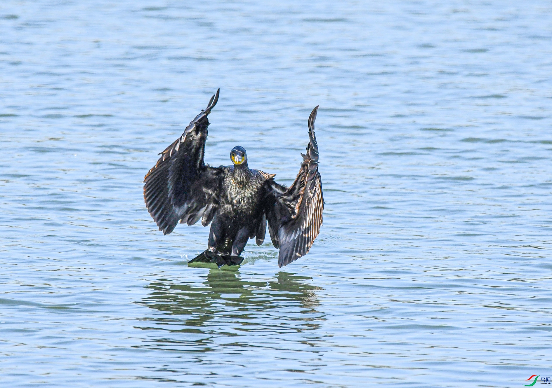 DSC_1564_��ͼ�� ����.jpg