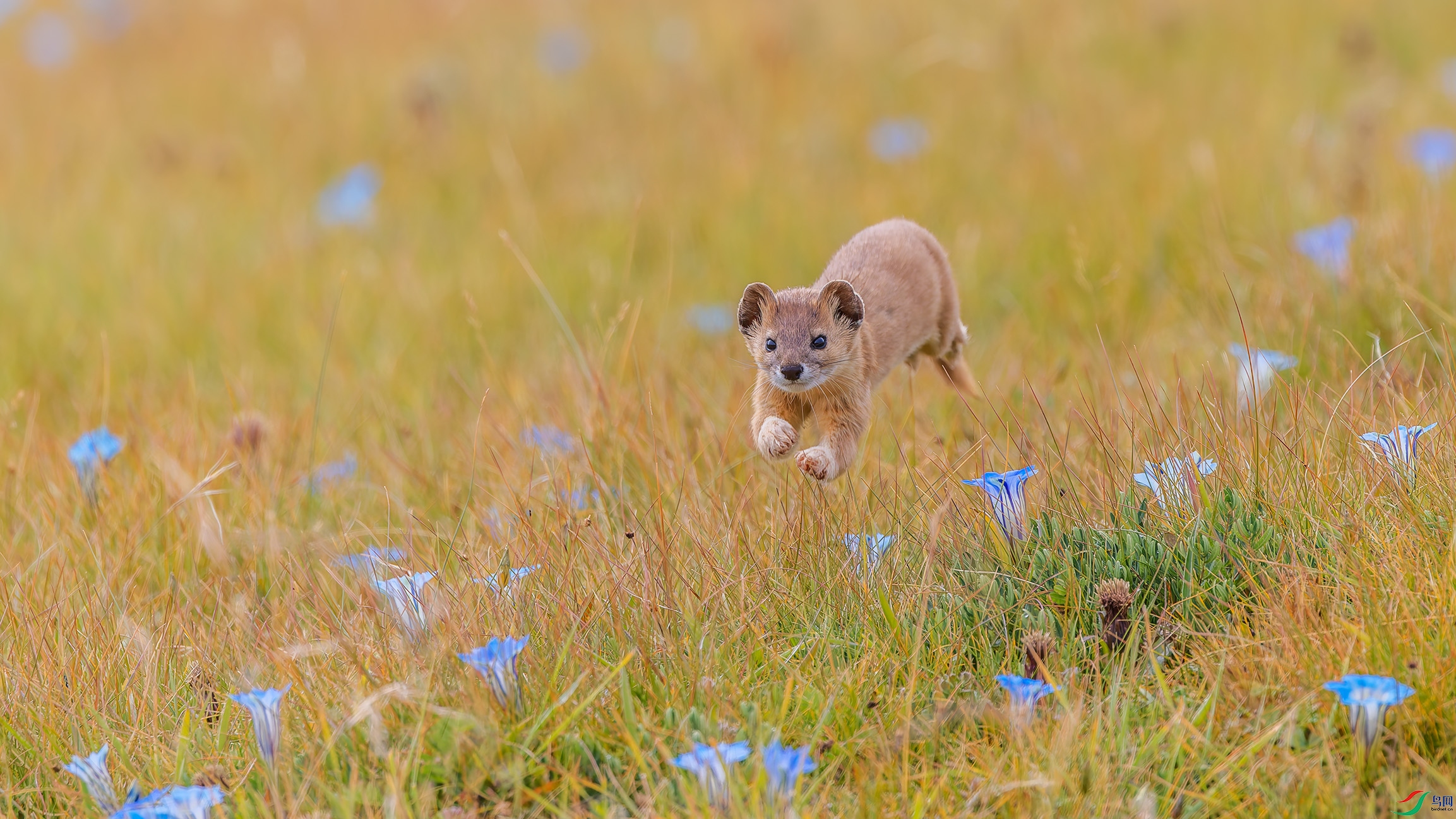 156A4585-DxO_DeepPRIME XD2s_XD.jpg