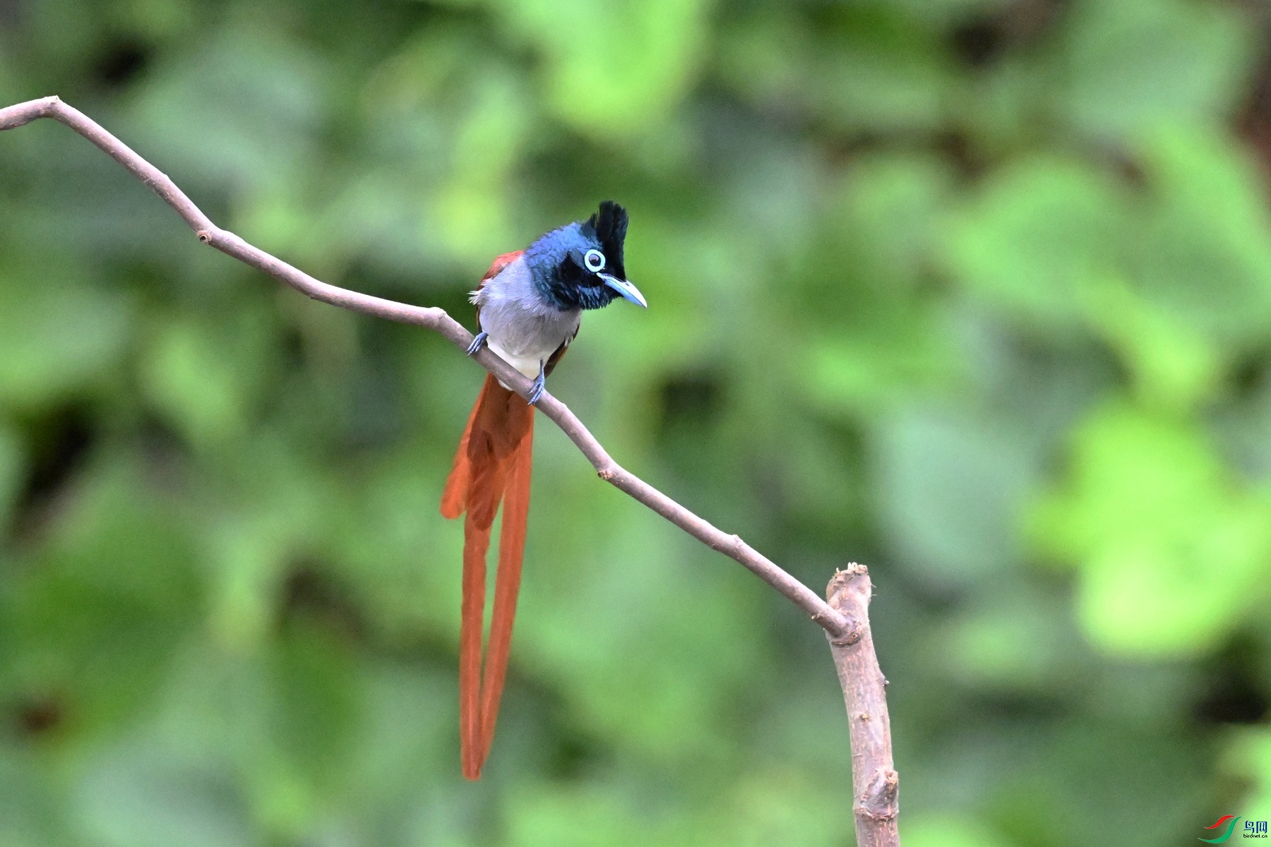 DSC_6623.JPG