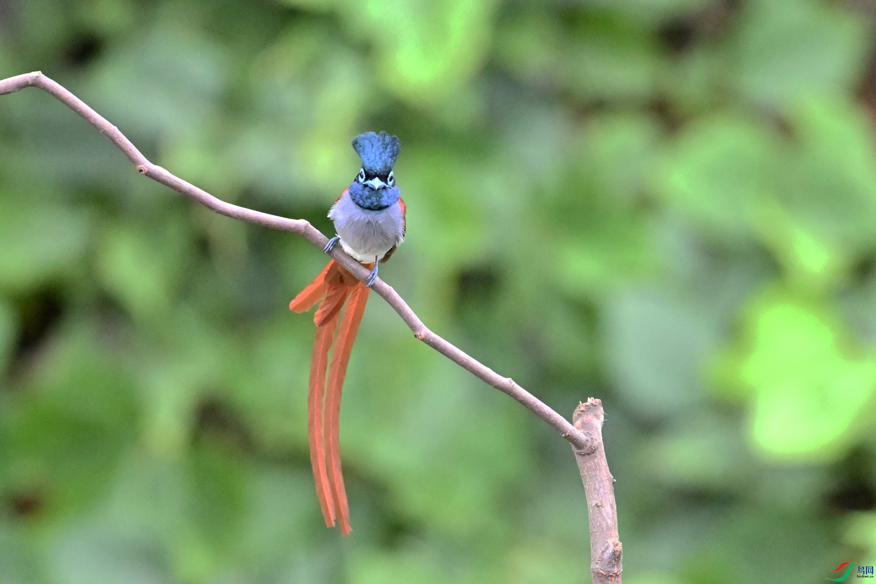 DSC_6625.JPG