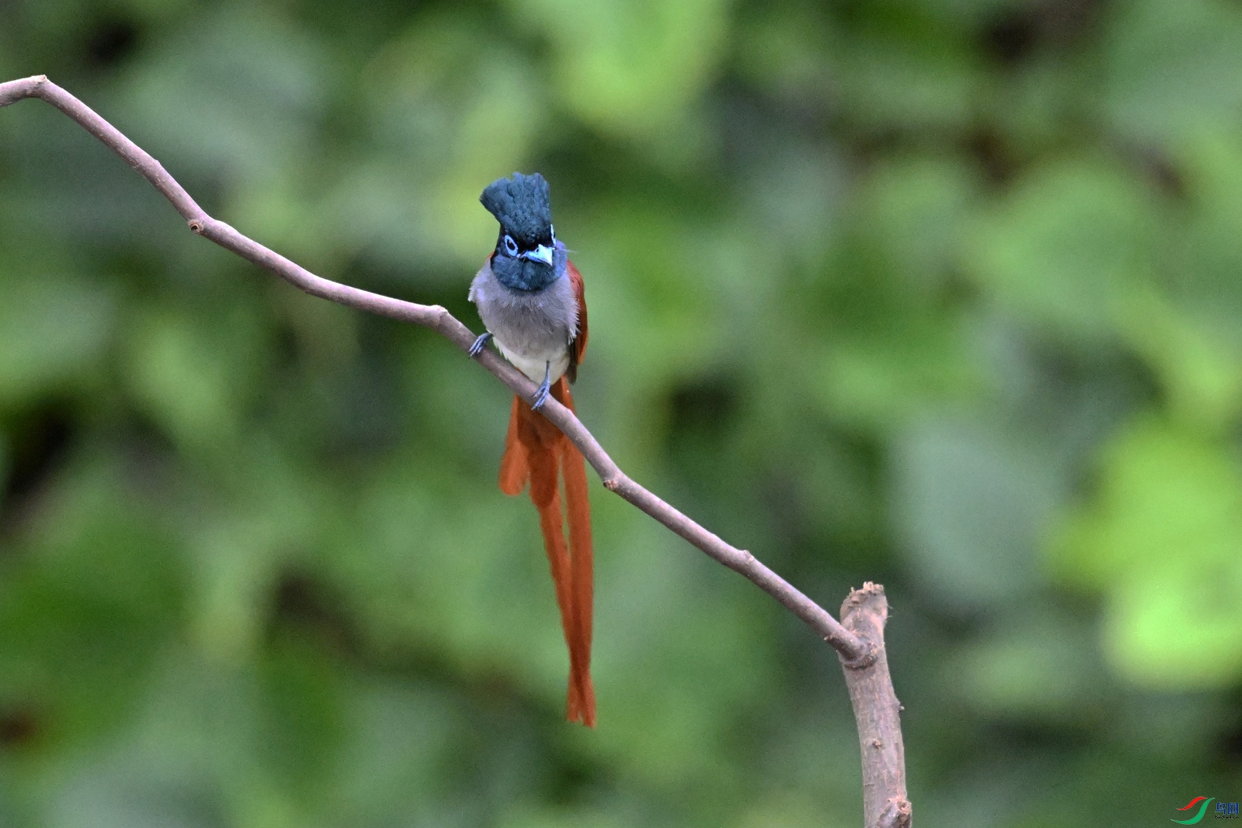 DSC_6627.JPG