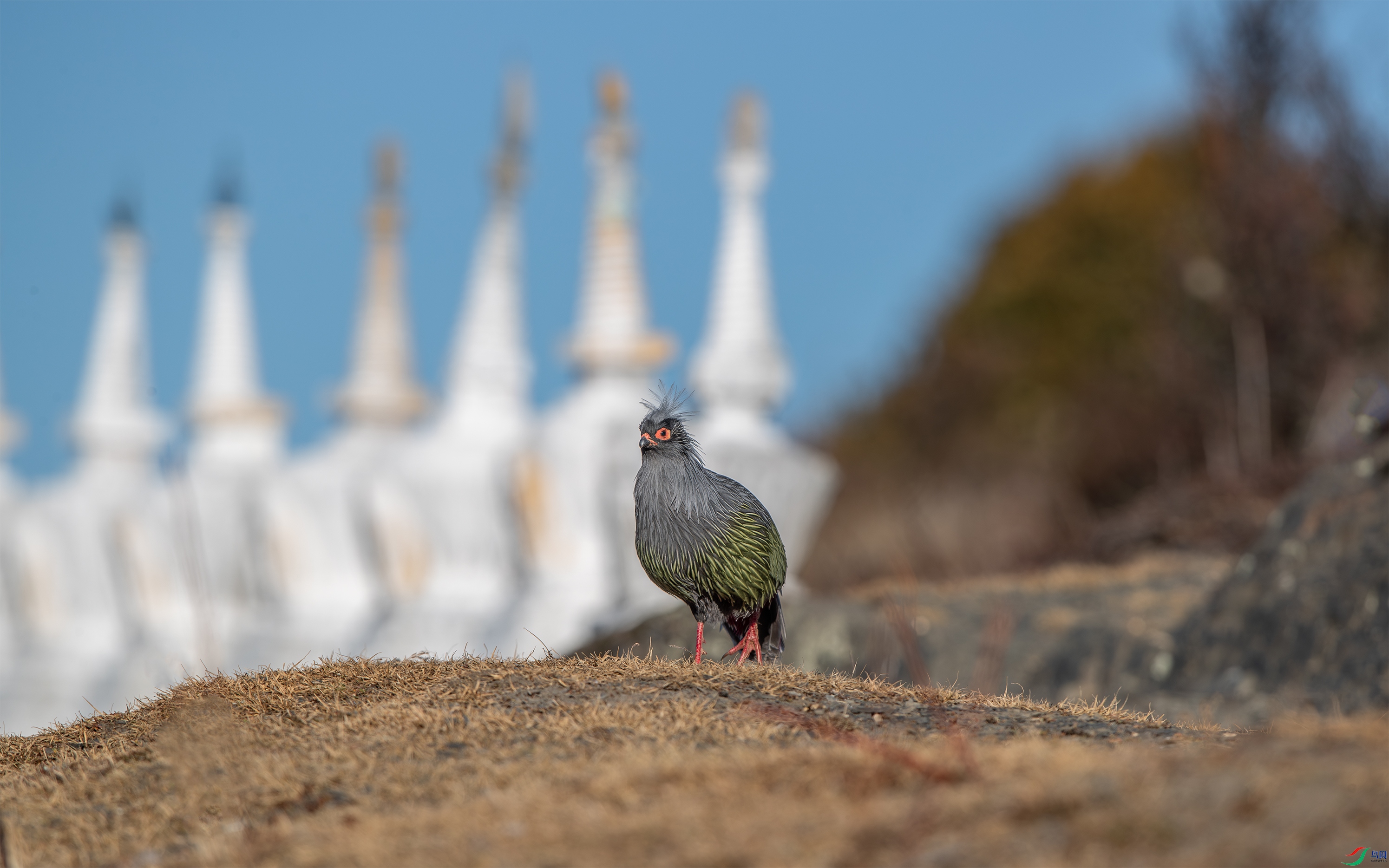 AY8I0287 ����.jpg