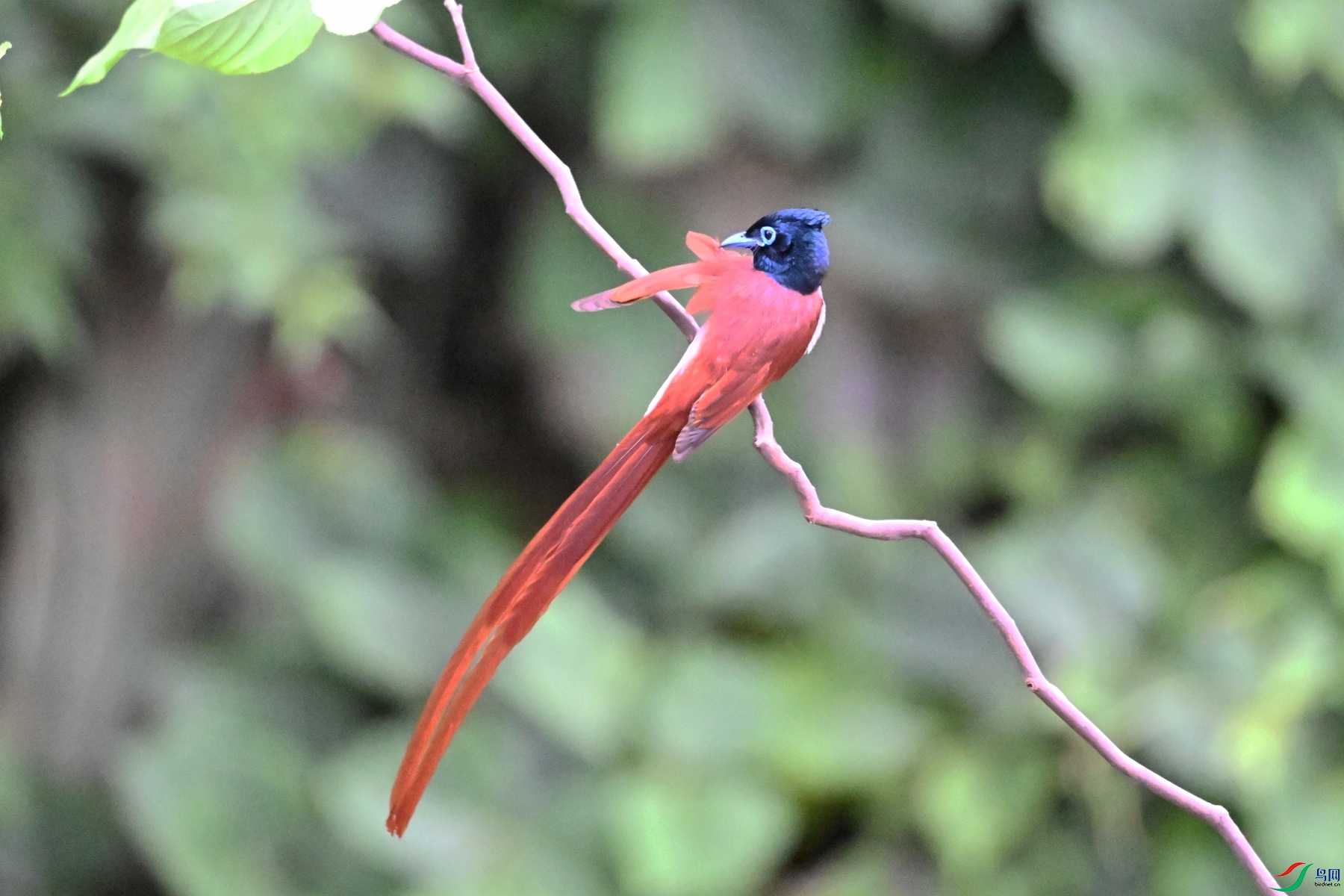 DSC_6635.JPG