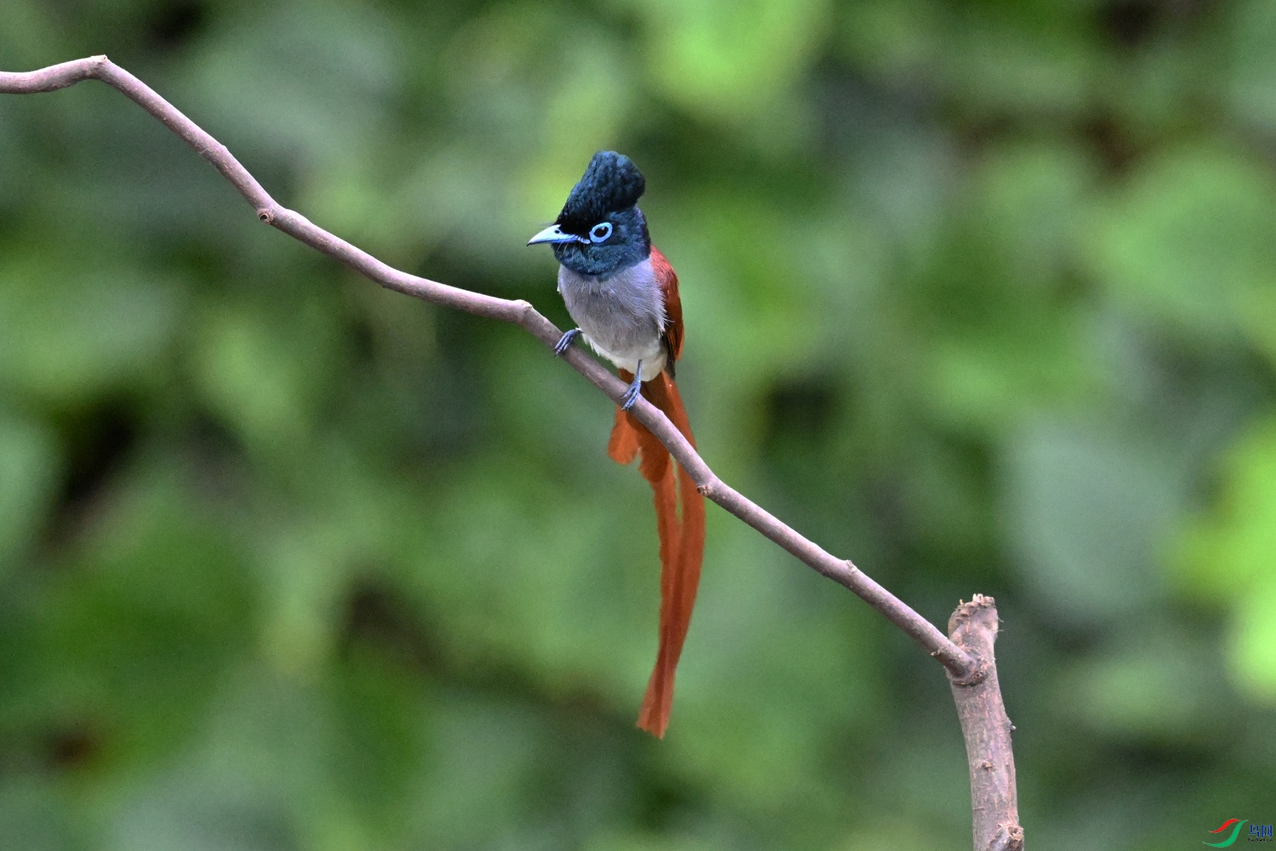 DSC_6629.JPG