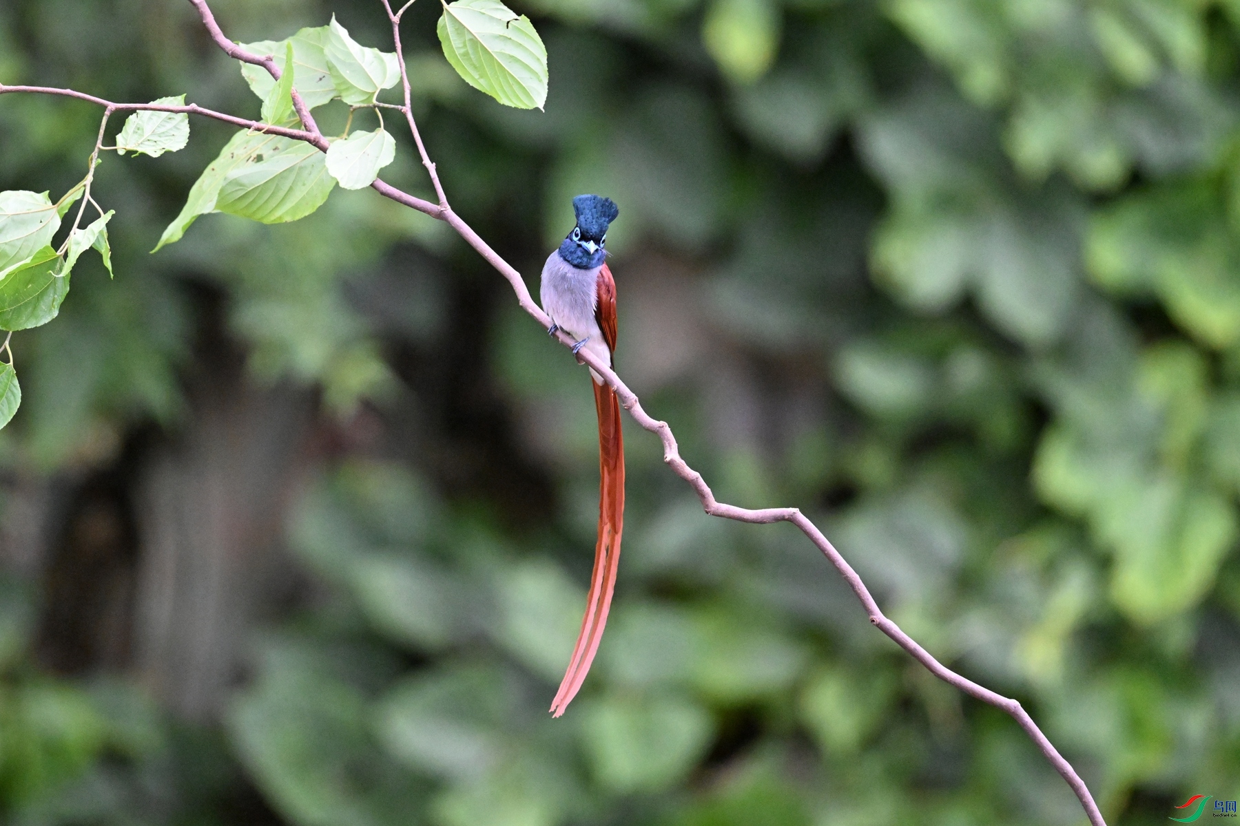 DSC_6649.JPG