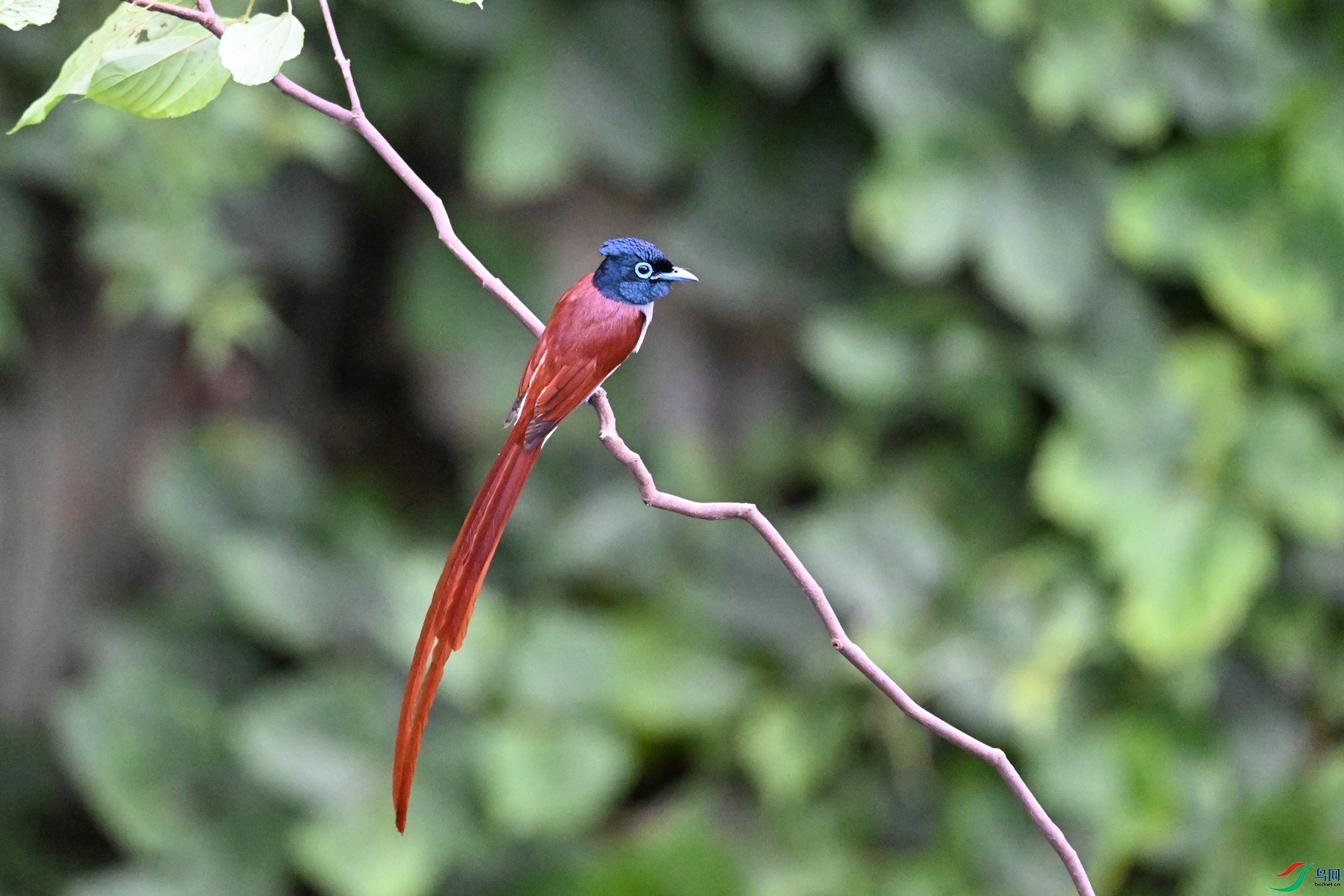DSC_6639.JPG
