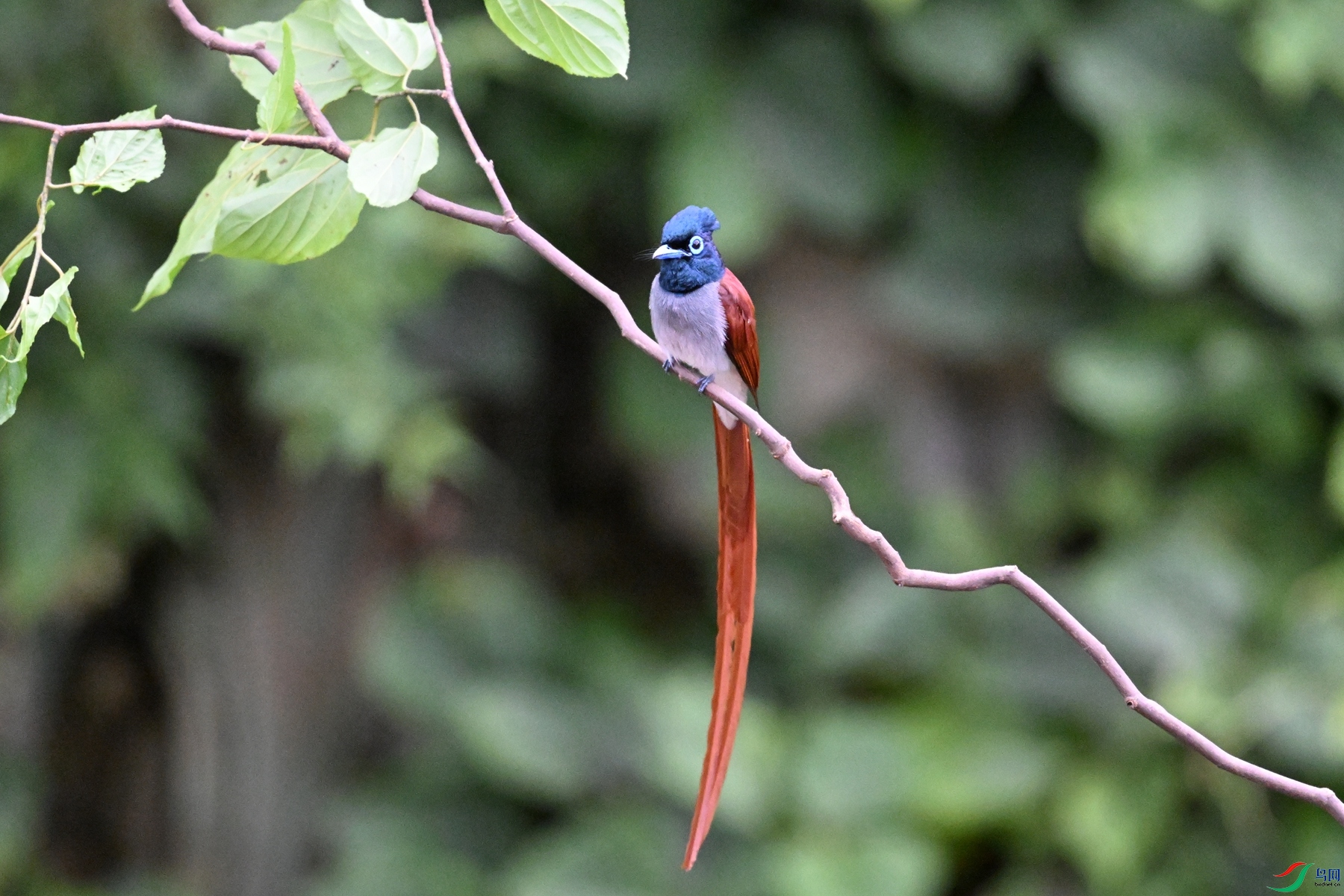 DSC_6651.JPG