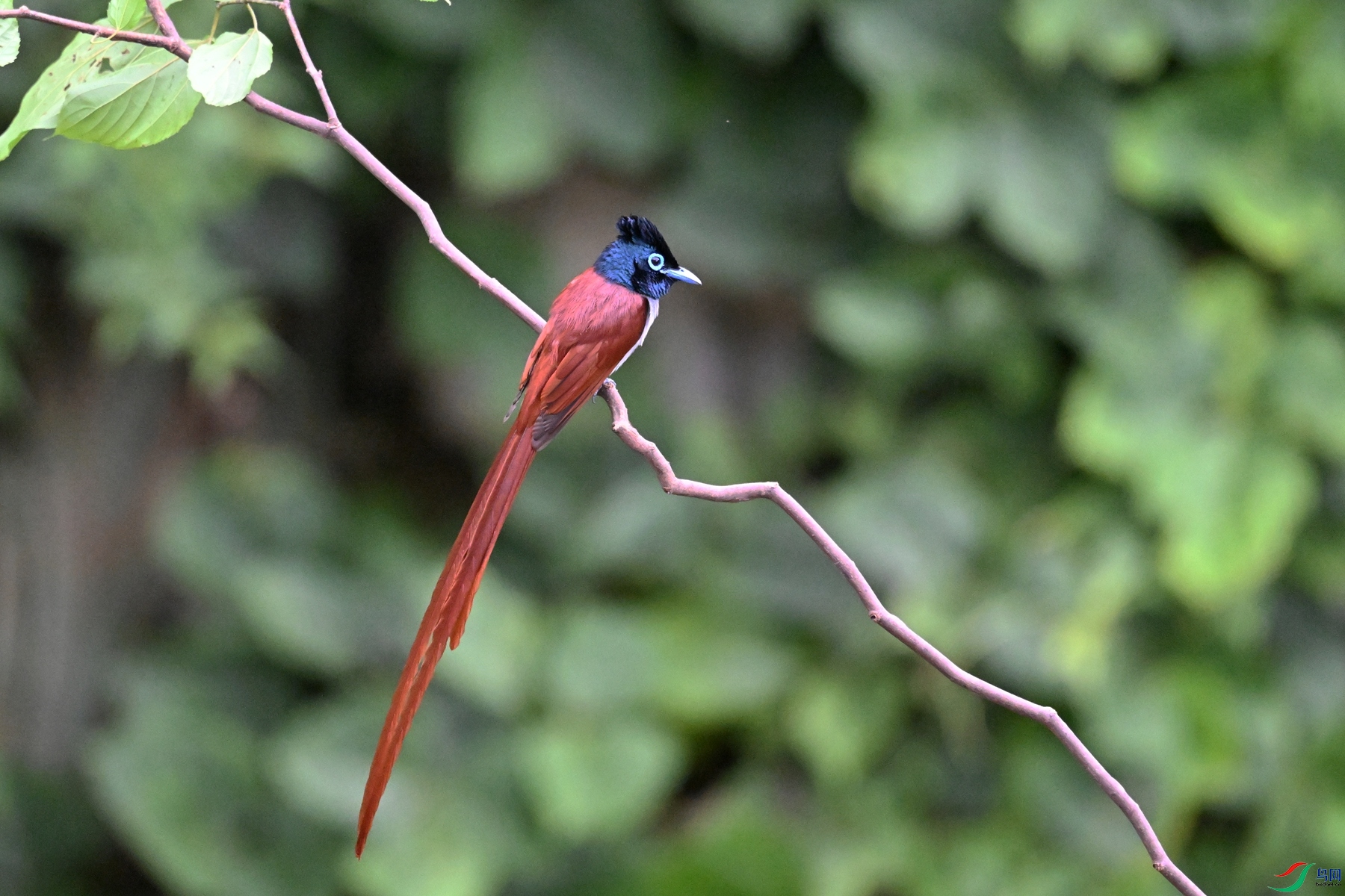 DSC_6632.JPG