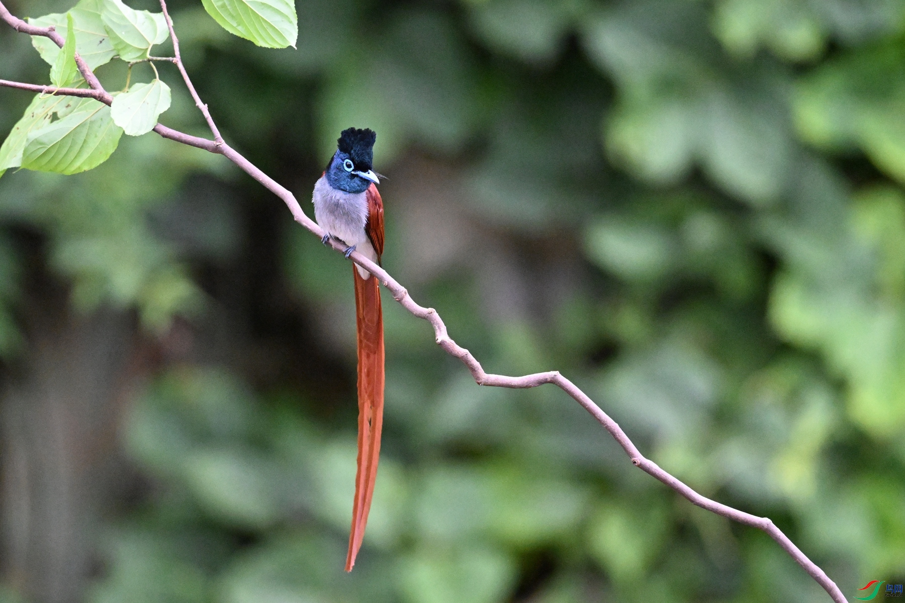 DSC_6654.JPG