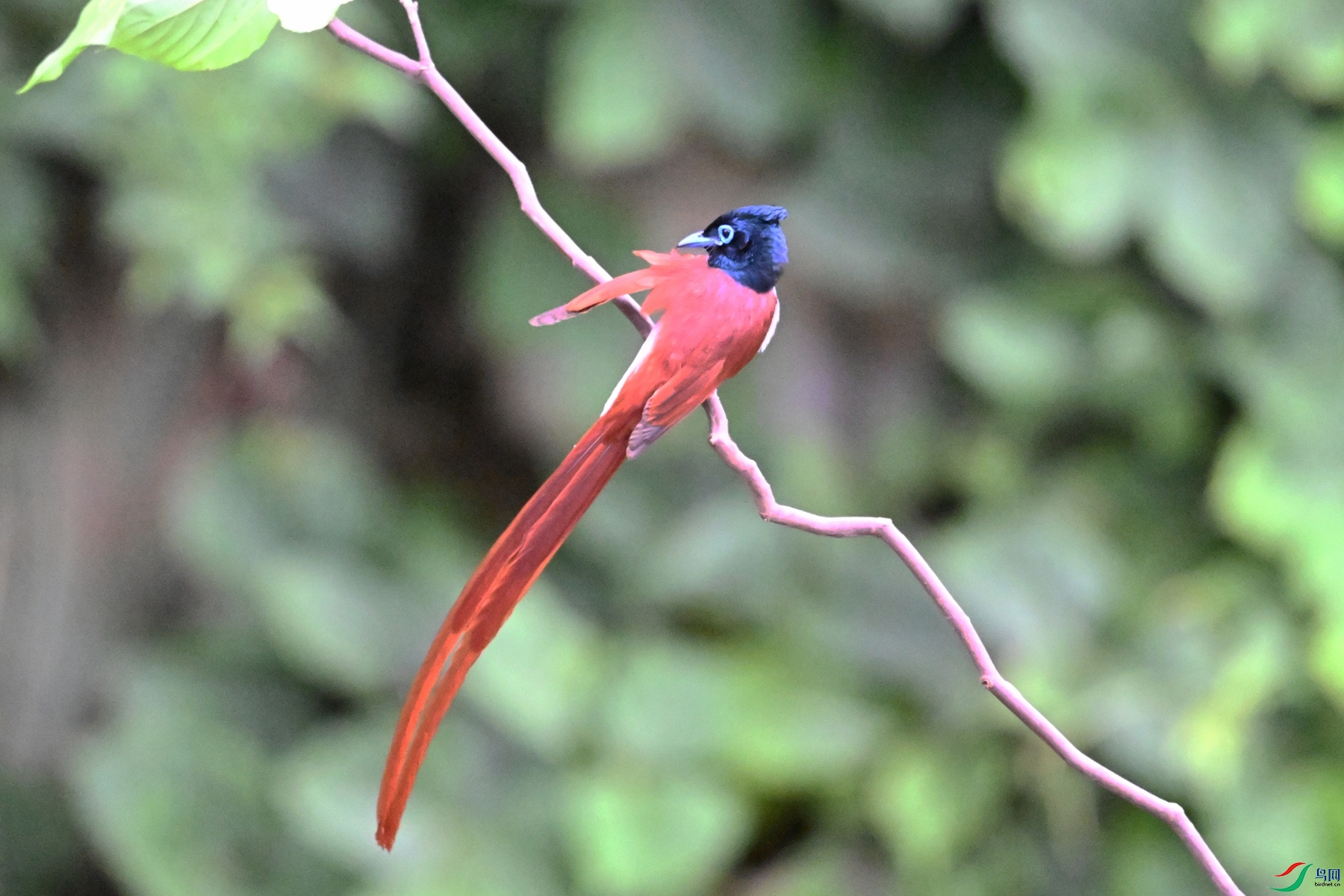 DSC_6636.JPG