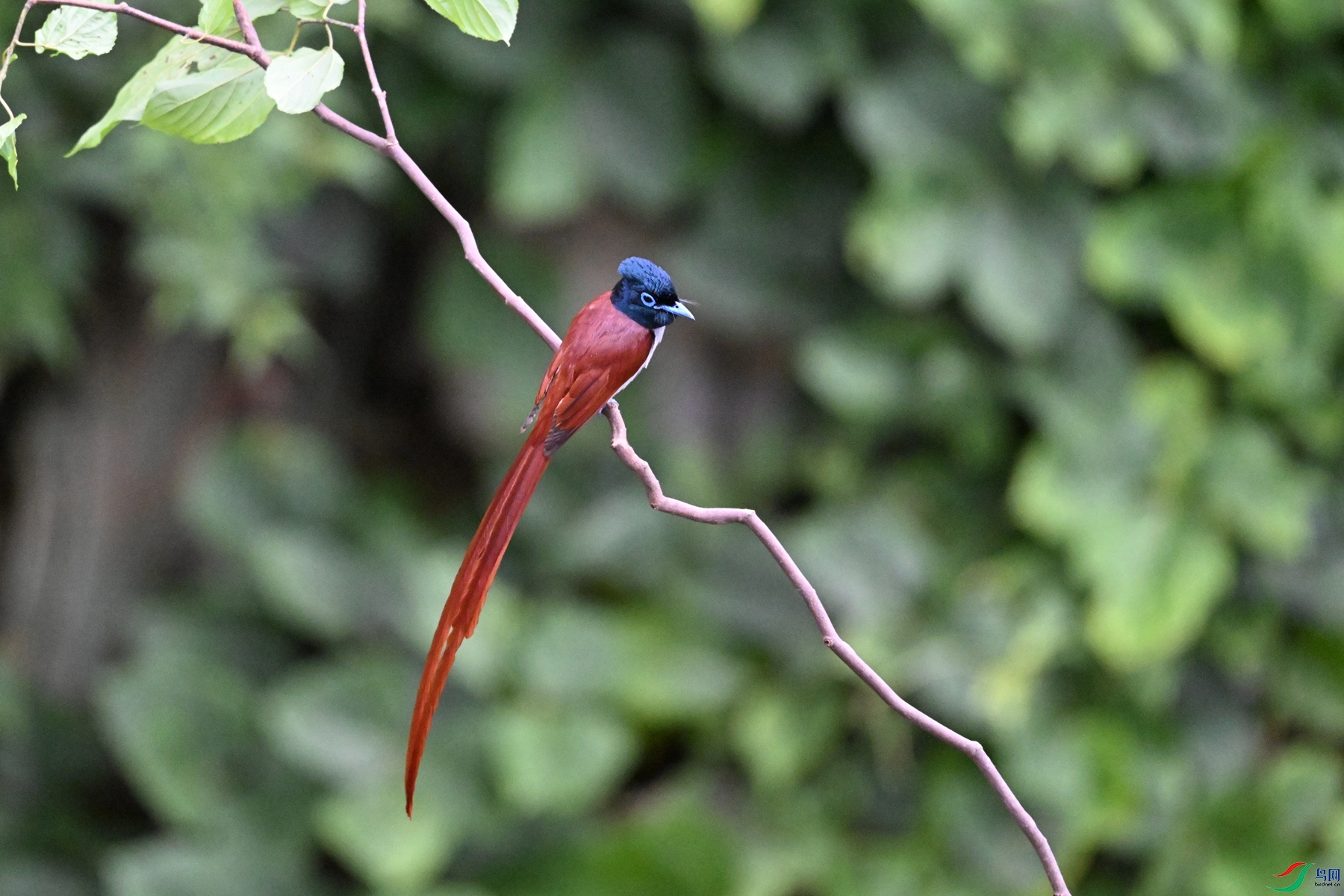 DSC_6646.JPG