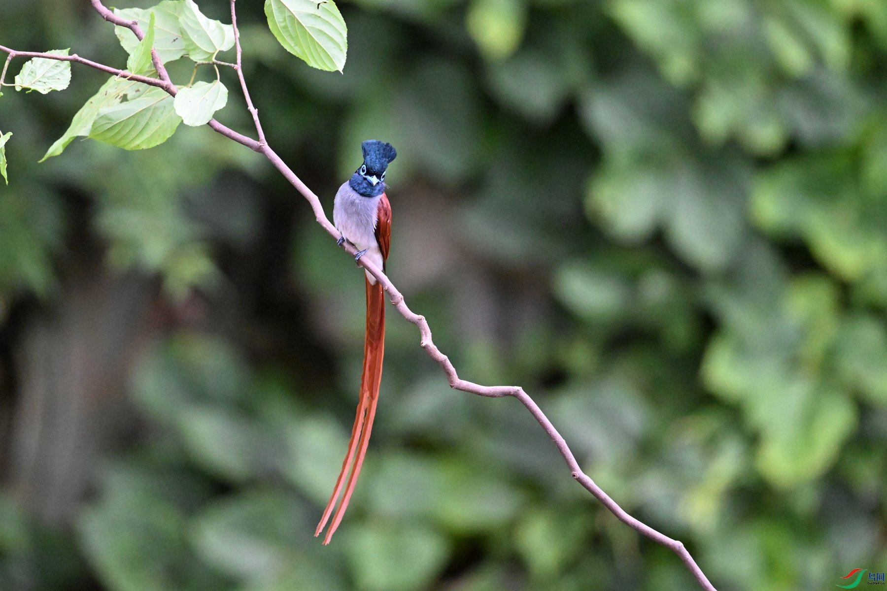 DSC_6650.JPG