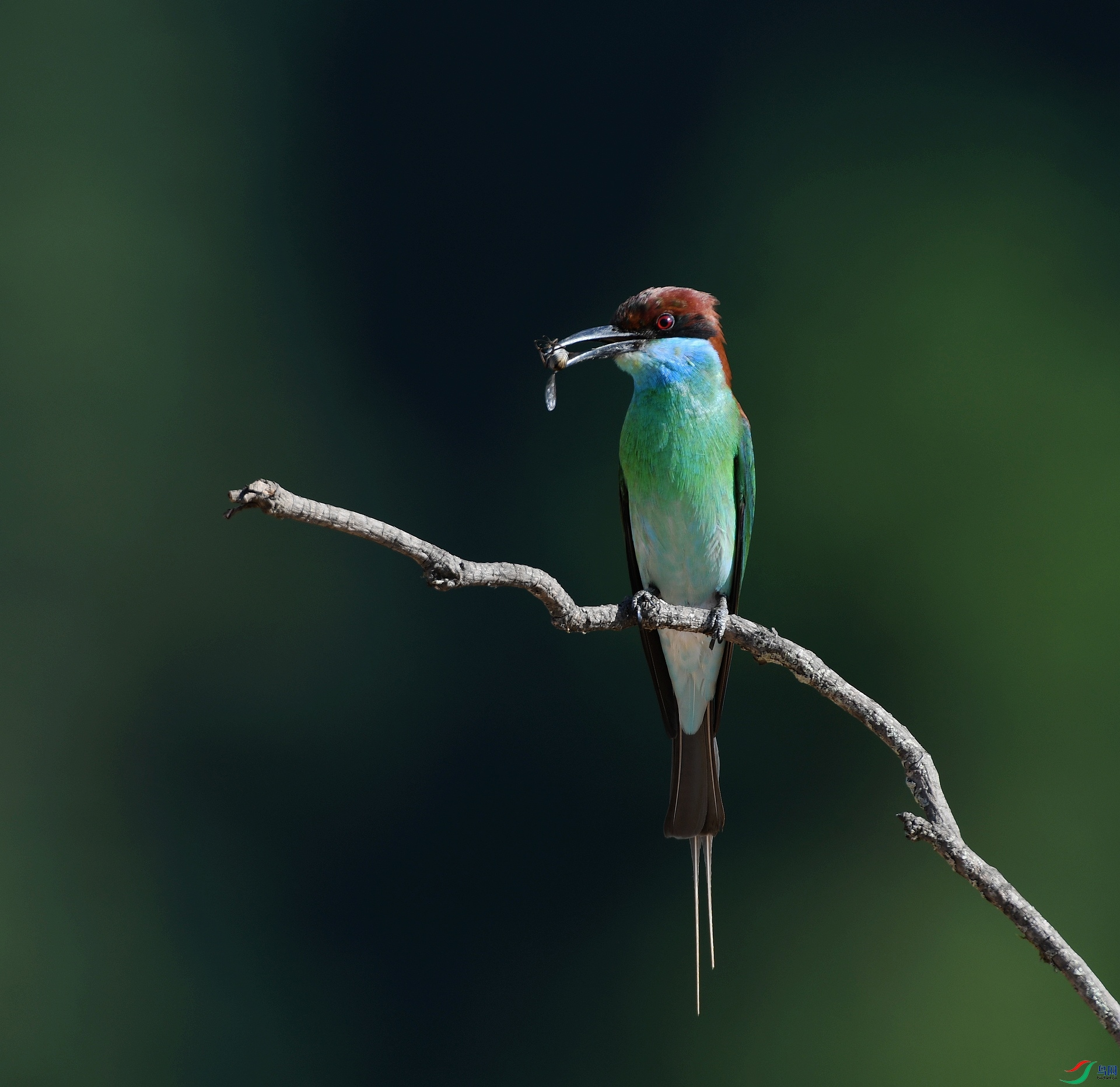 DSC_4789.jpg
