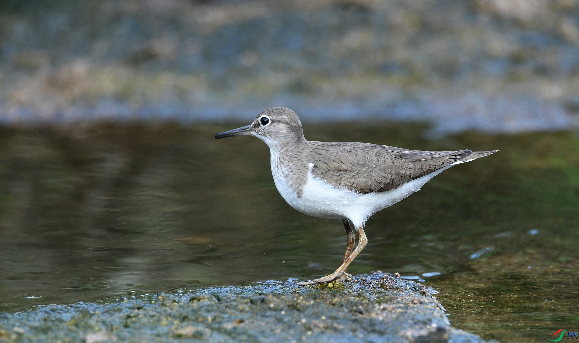 DSC_5246.jpg