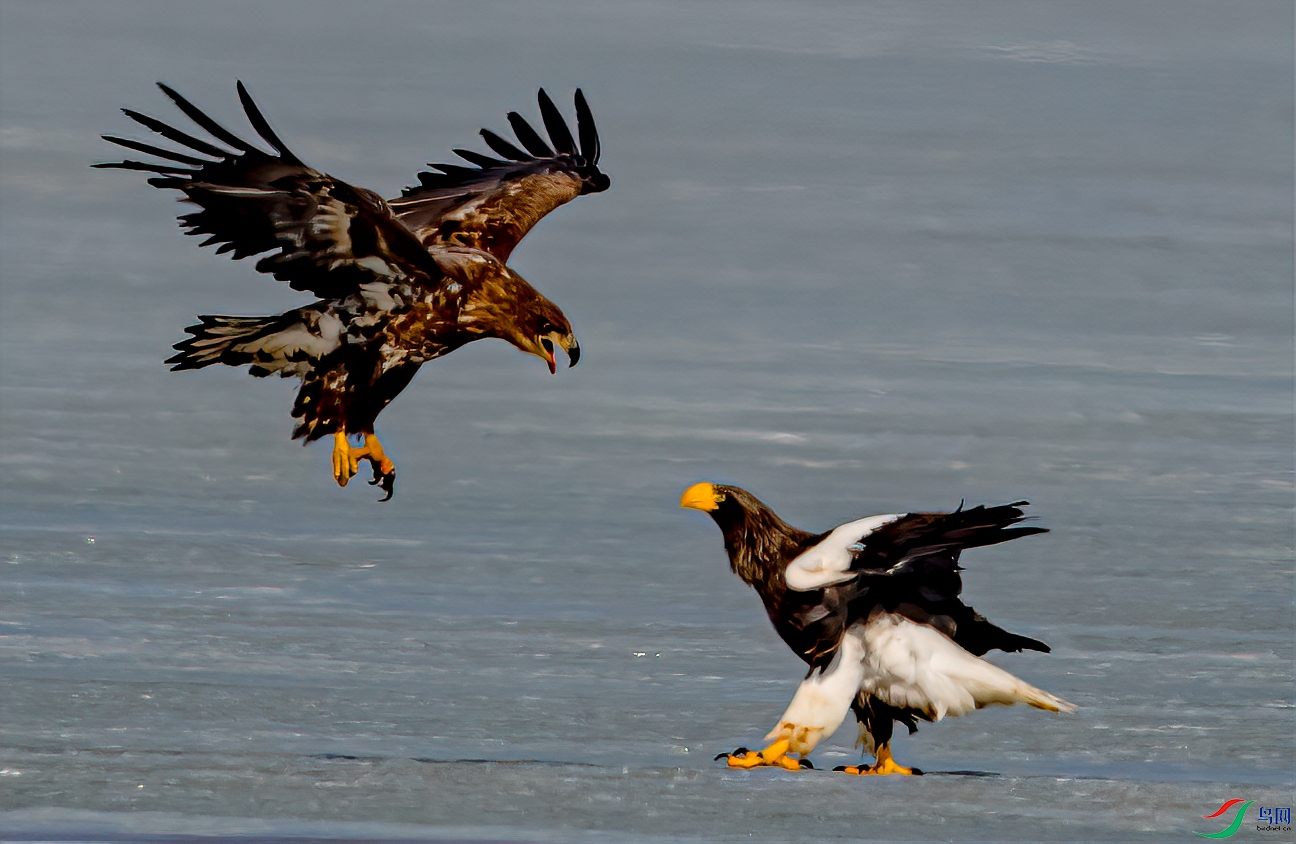 _DSC2943-11.jpg