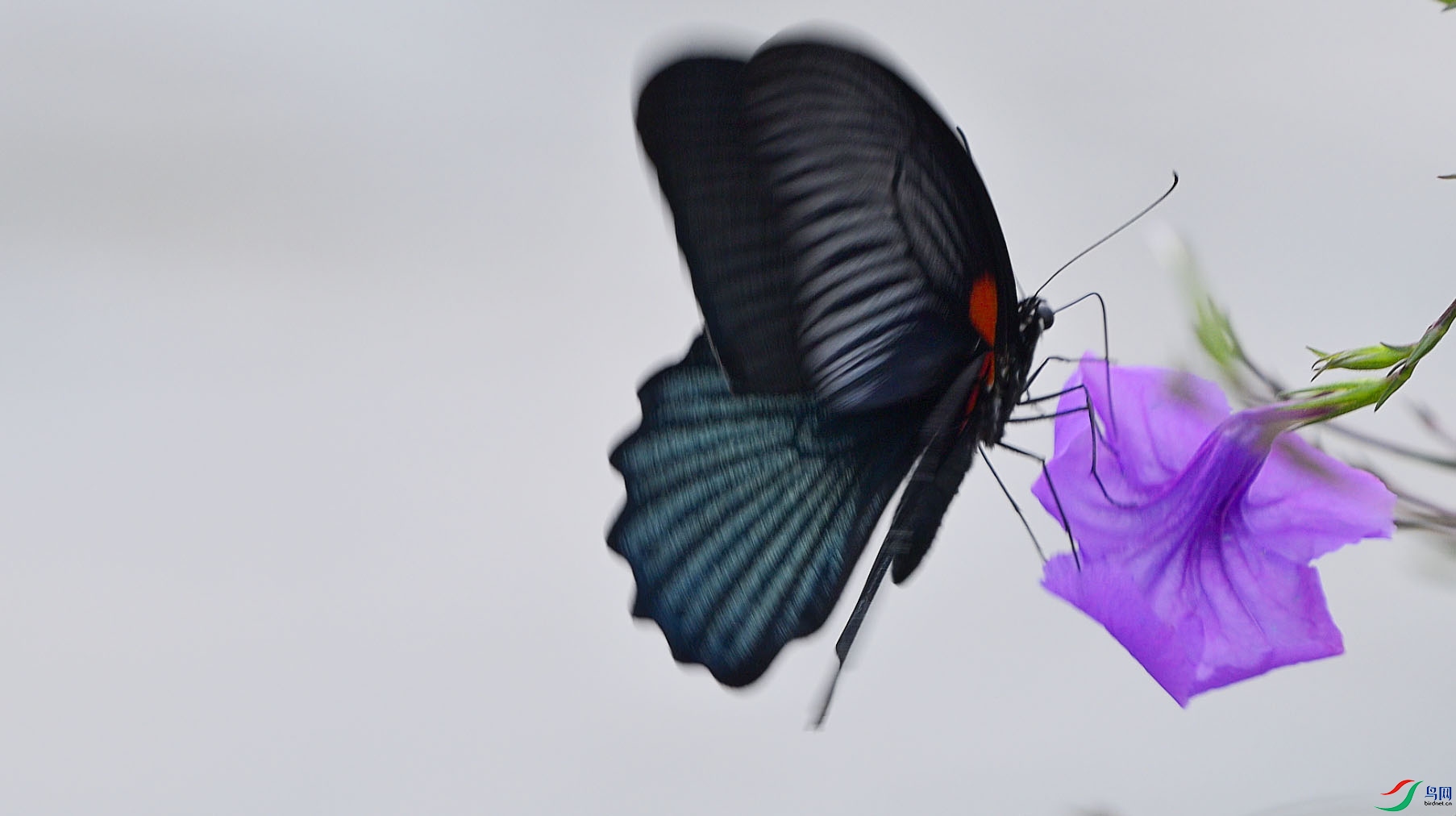 {B251AA79-FB7F-42FF-A075-C2B71425CBA8} ����.jpg