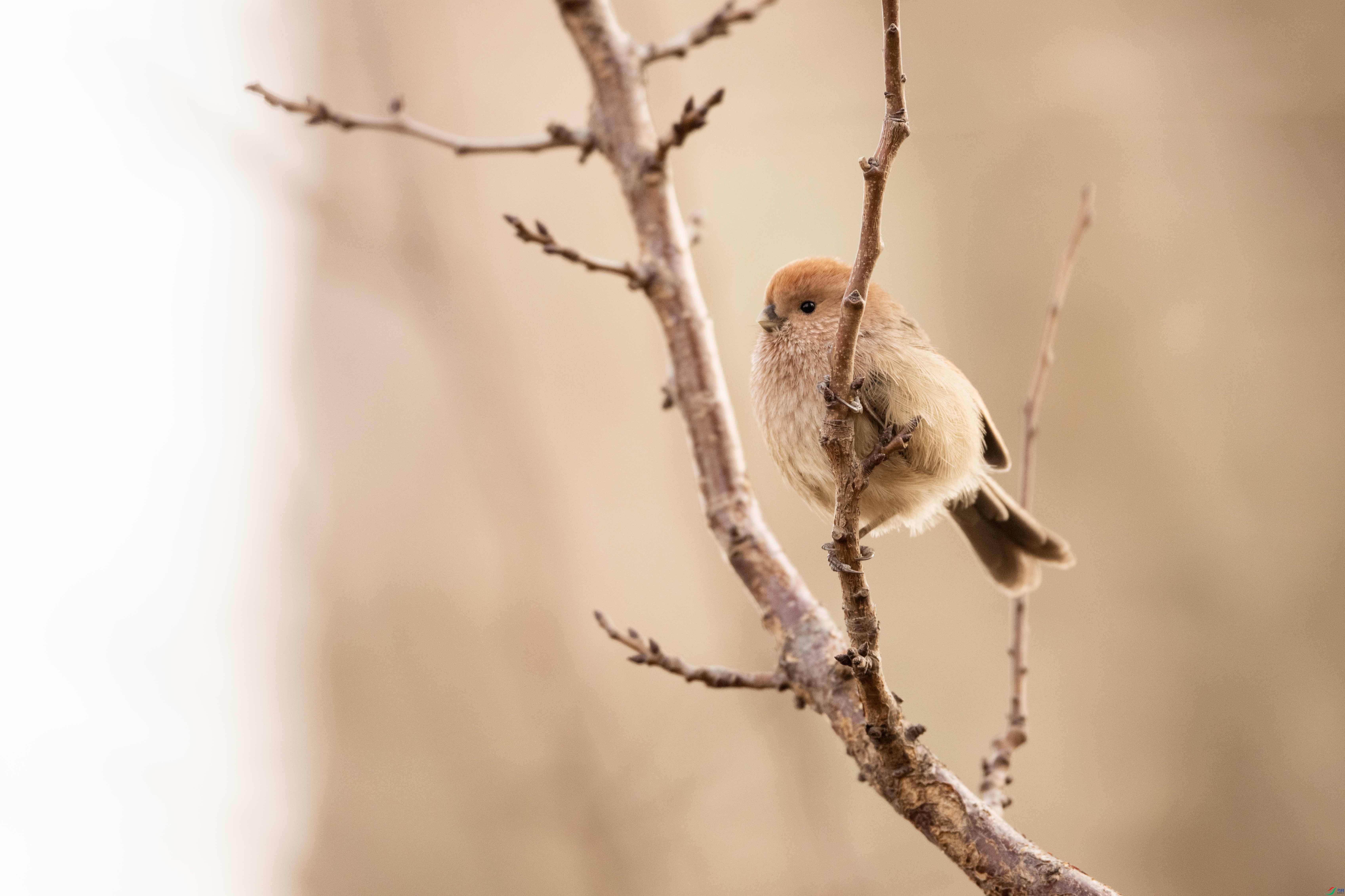 XGS_4609 ����.jpg