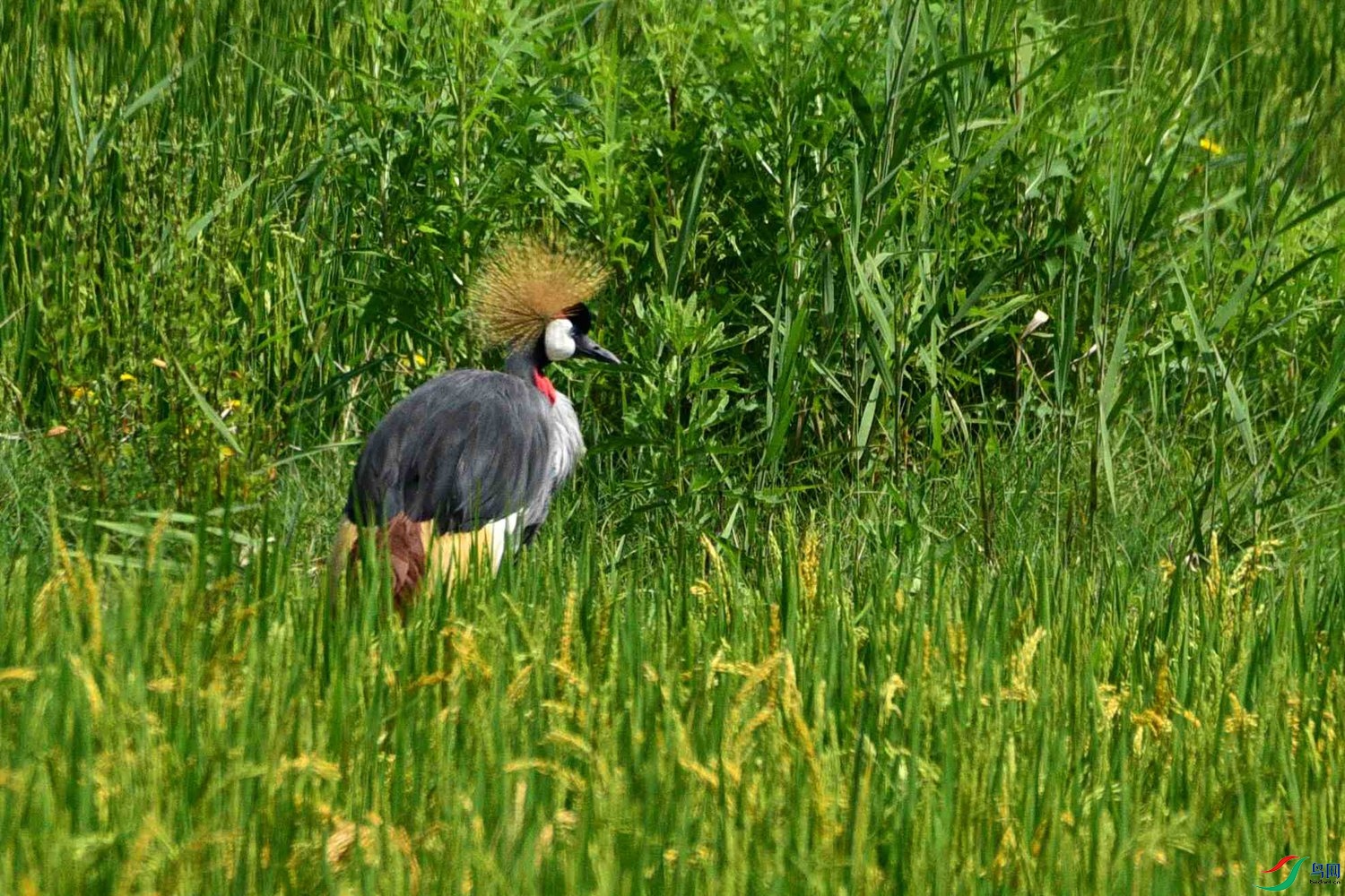 DSC_5225.JPG