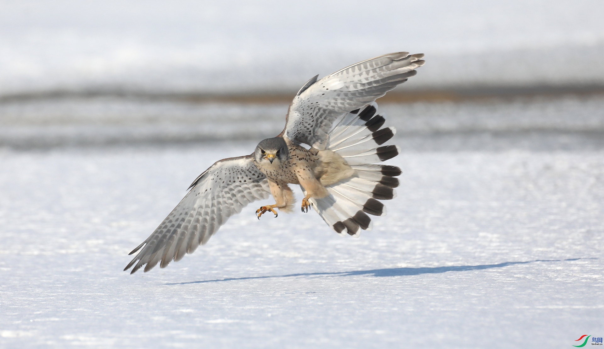 9G8A4824 ����.jpg