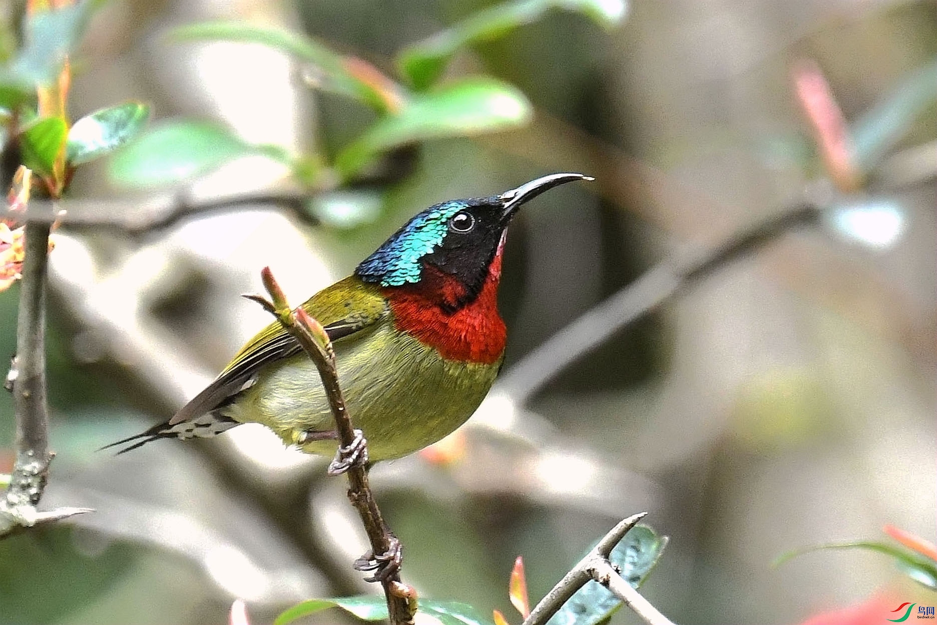 DSC_6379_����.jpg