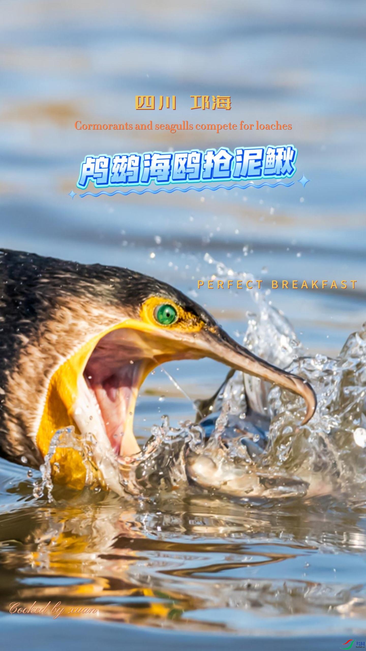 �Ĵ� ���� ��˺�Ÿ������-����.jpg