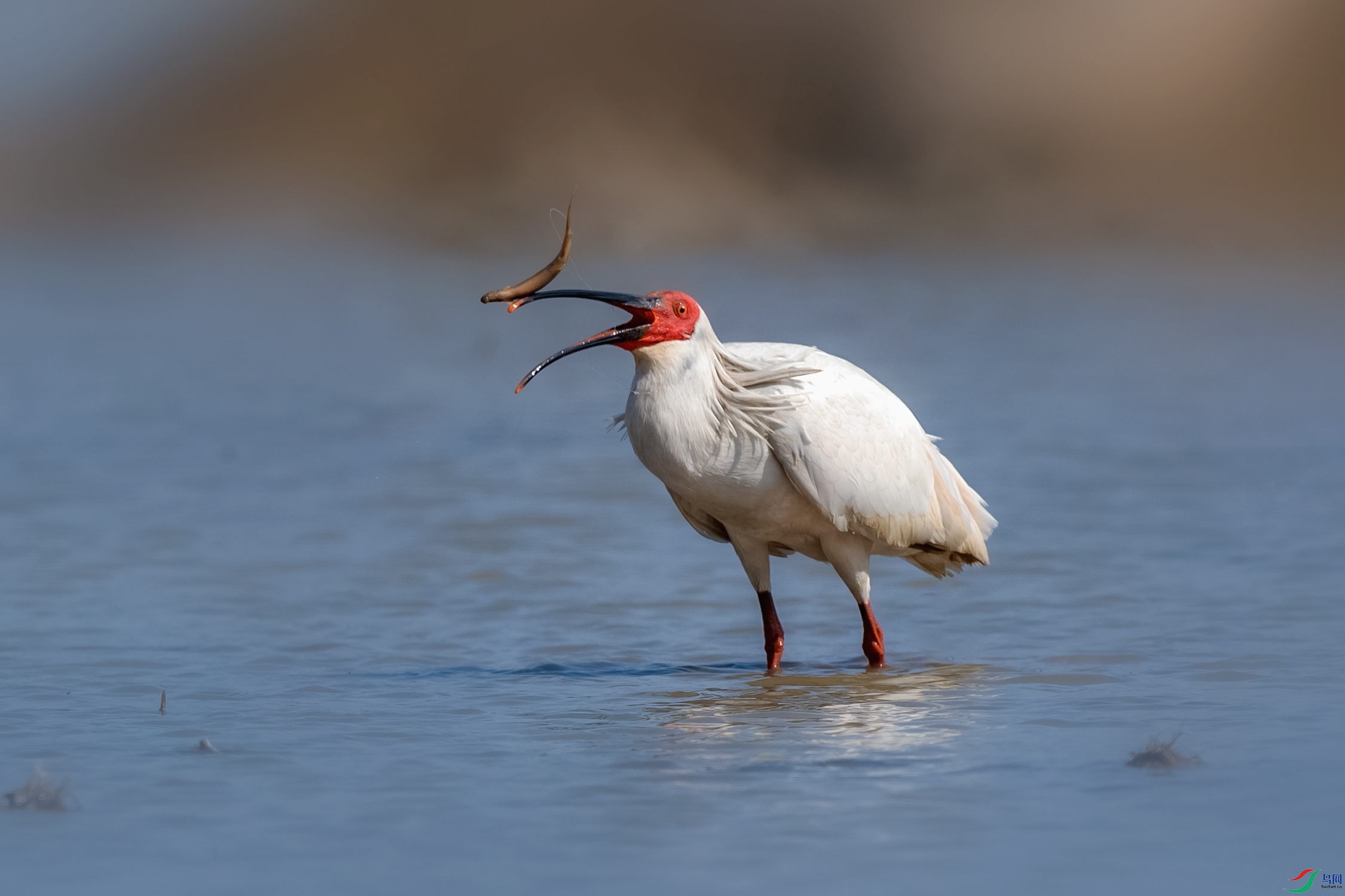 BE5I2887 ����a.jpg