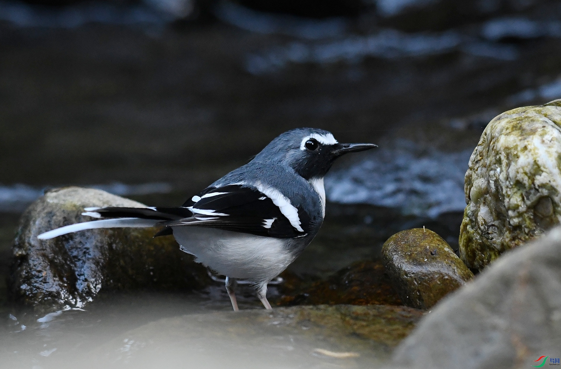 DSC_5684.jpg