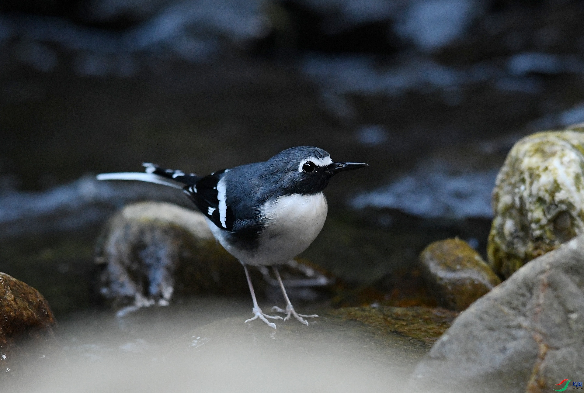 DSC_5688.jpg
