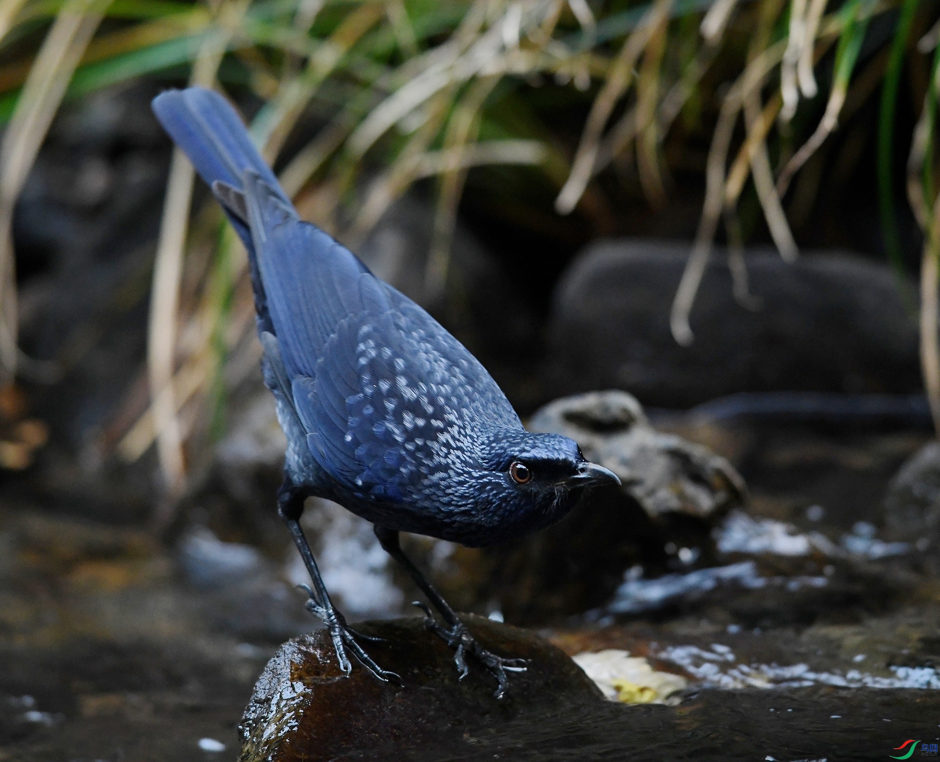 DSC_5835.jpg