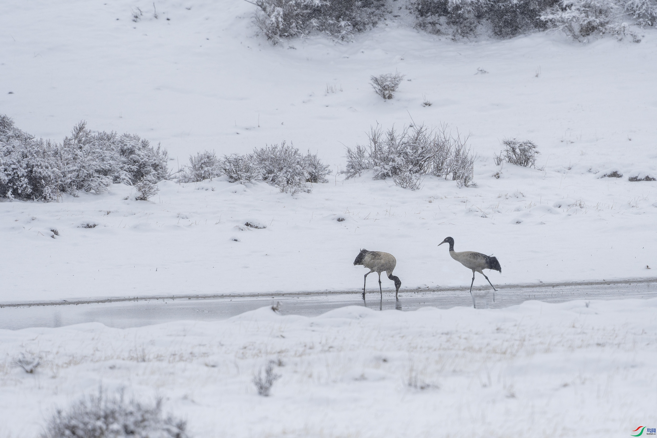 ���� (5)-01.jpg