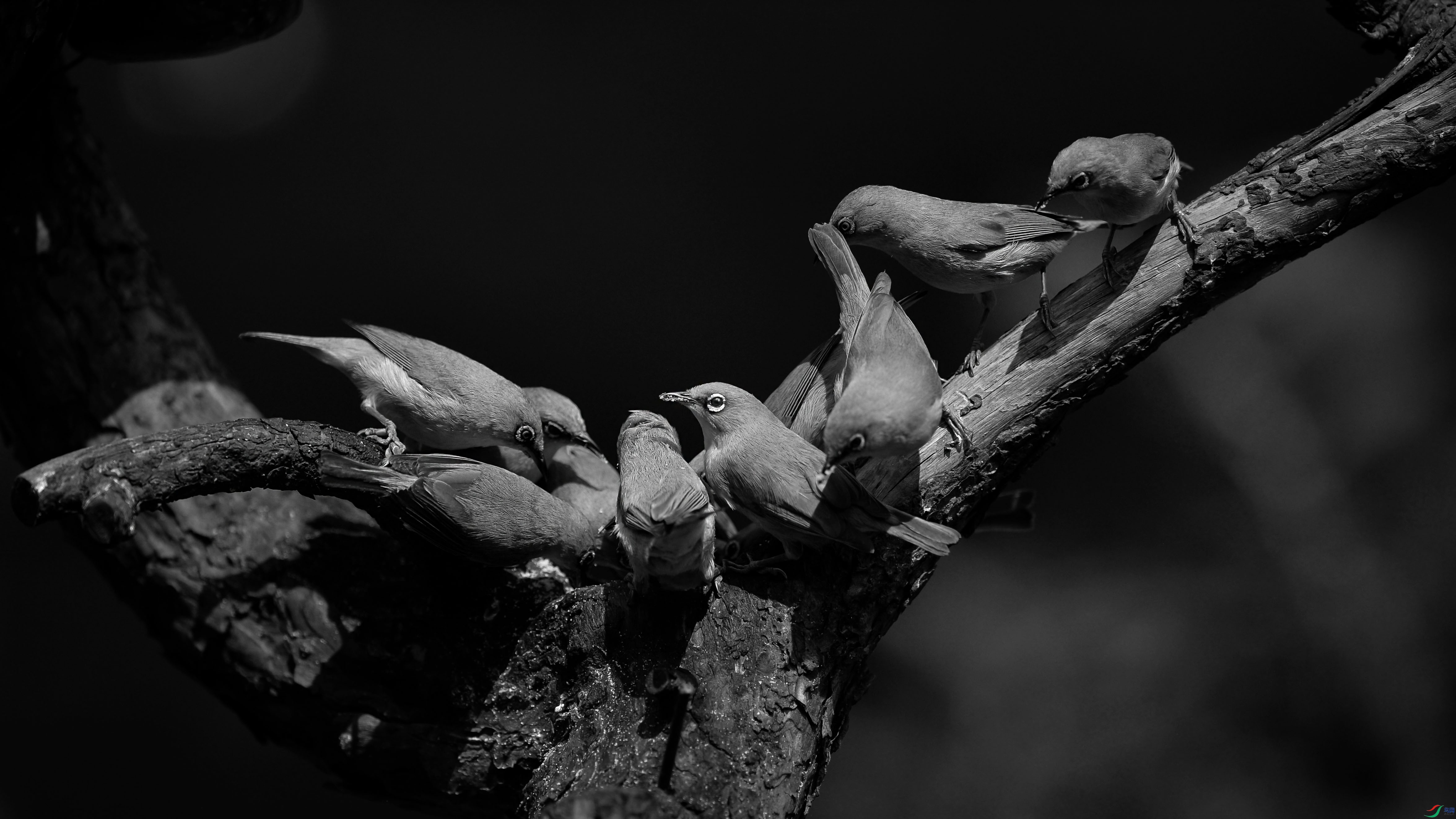 DSC_5679.jpg