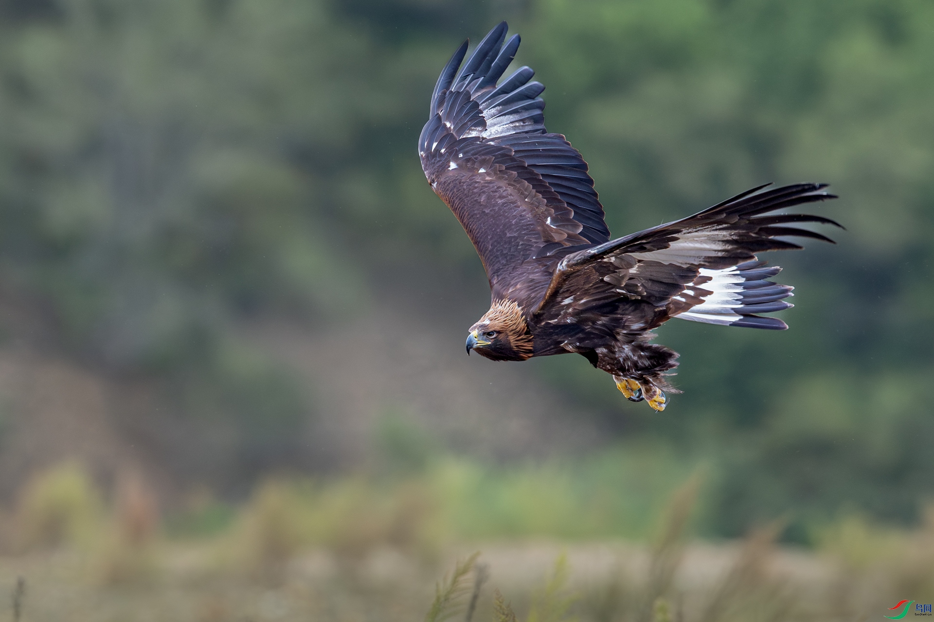 _DSC3236-2.jpg