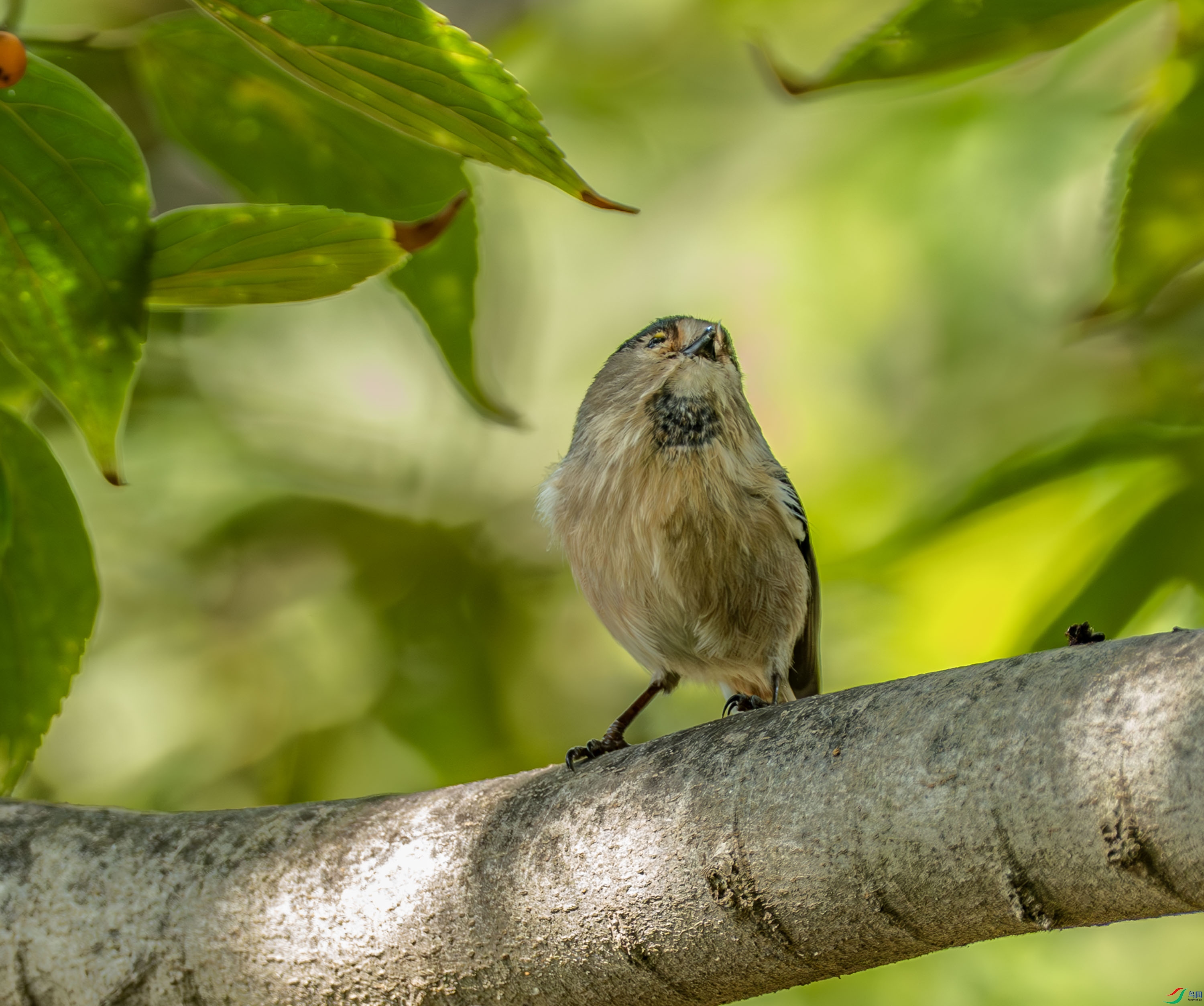 ������βɽȸ -1-24.jpg