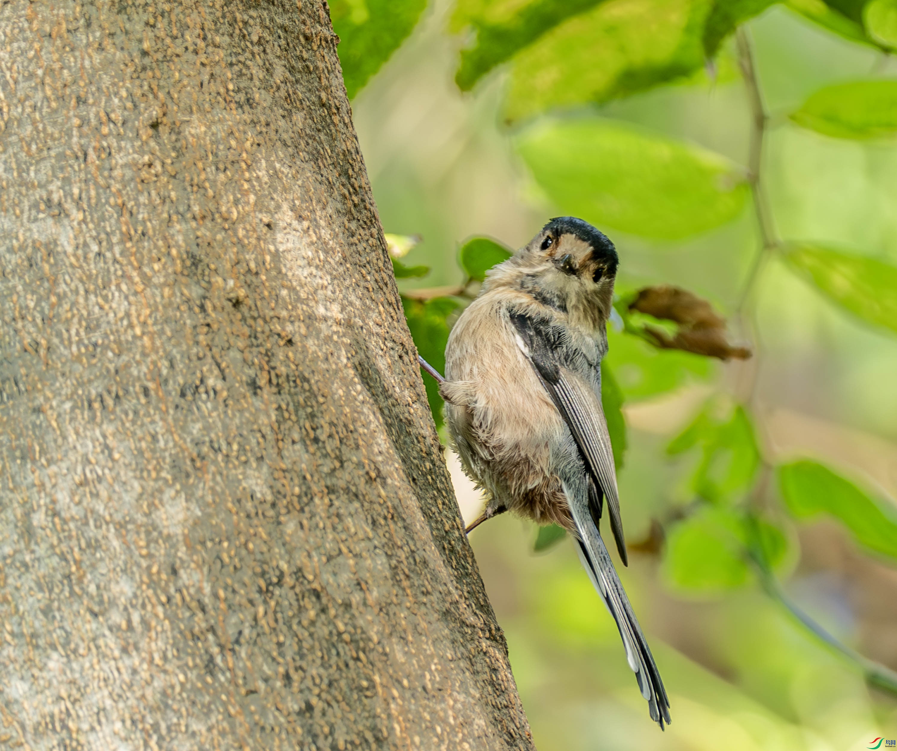 ������βɽȸ -1-25.jpg