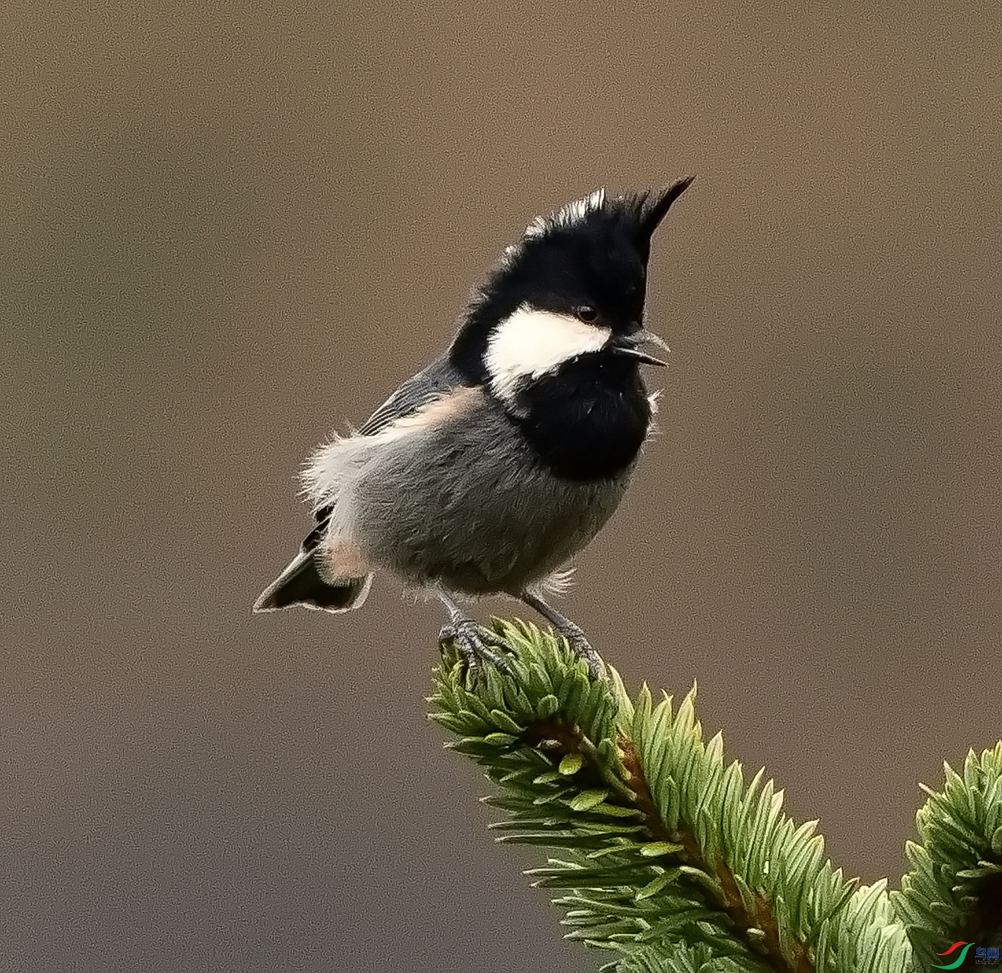 DSC03869_1.jpg