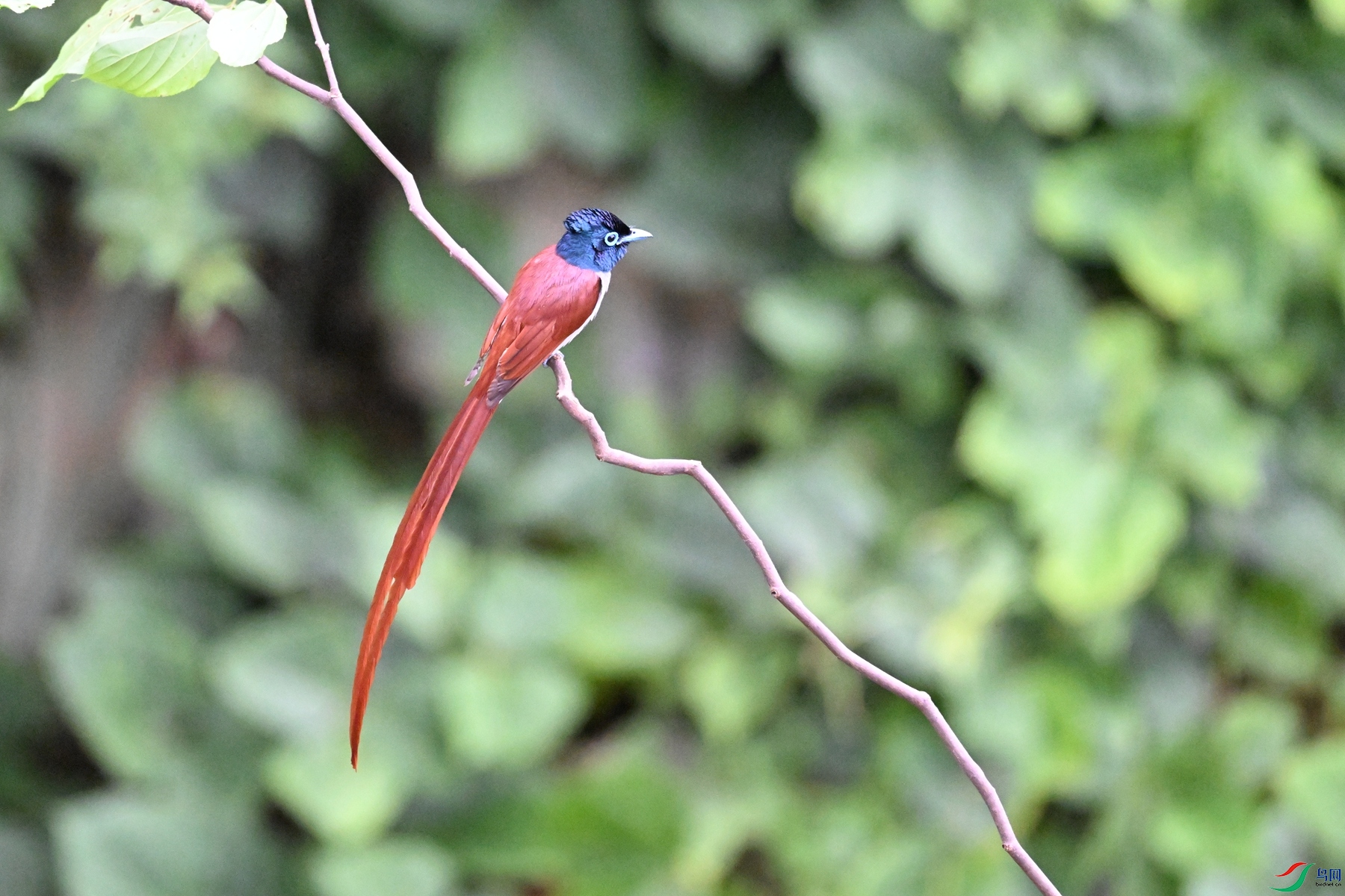 DSC_6641.JPG
