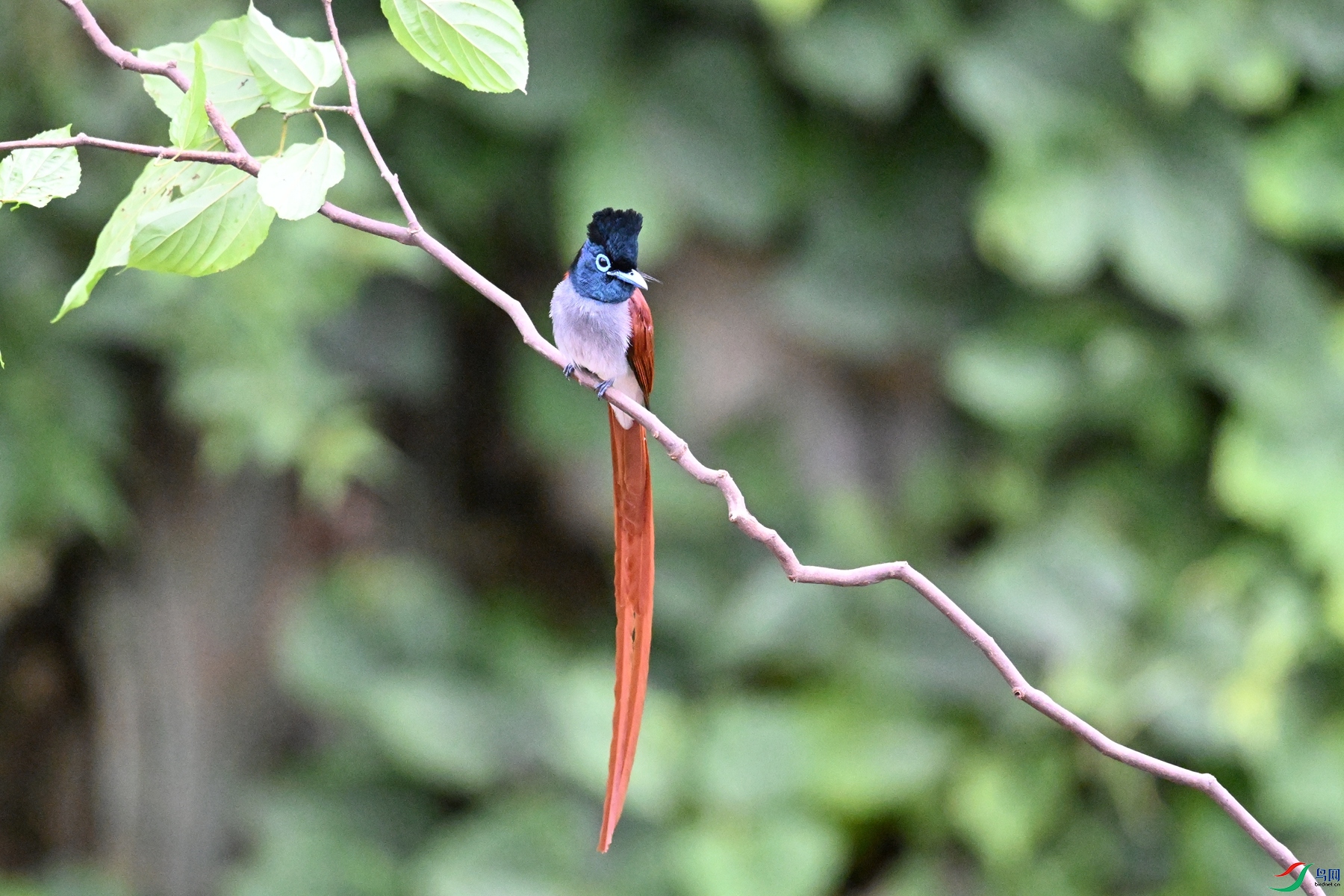 DSC_6656.JPG