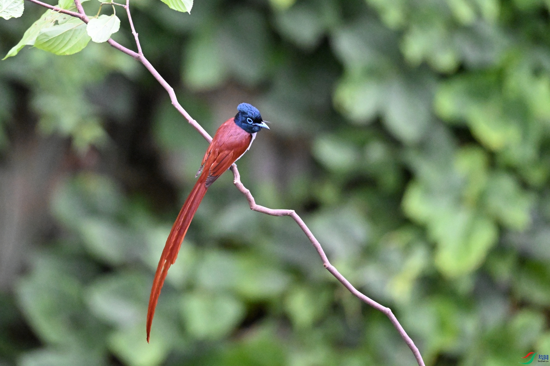 DSC_6644.JPG