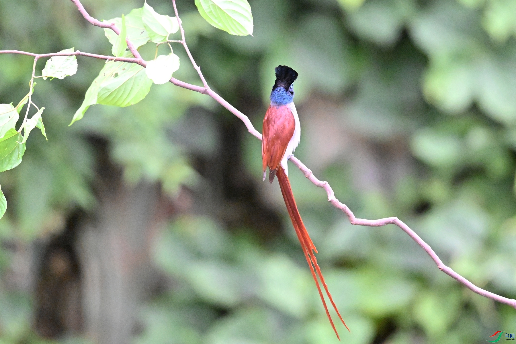 DSC_6658.JPG