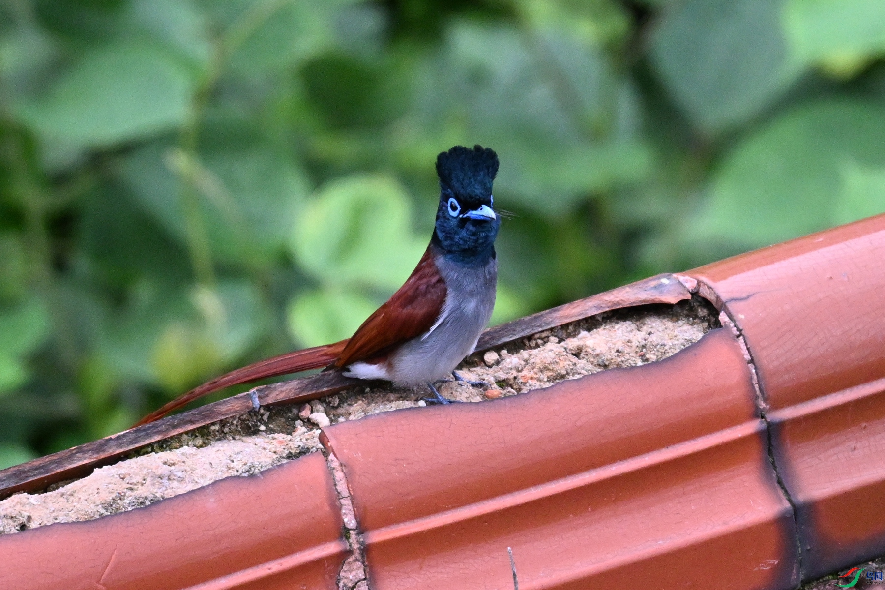 DSC_6684.JPG