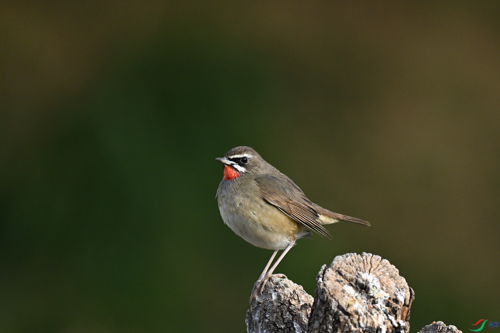 DSC_6647_����.jpg