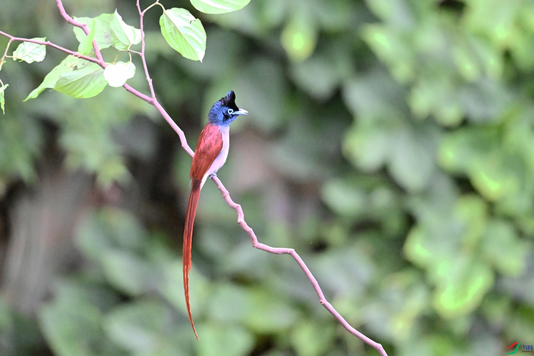 DSC_6666.JPG
