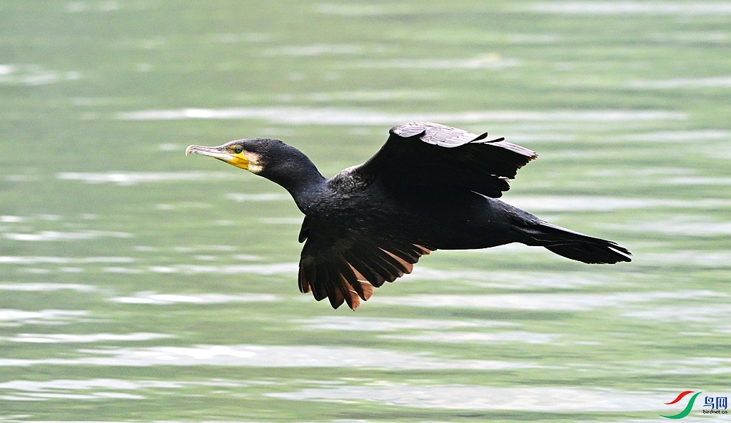 DSC_4472.JPG