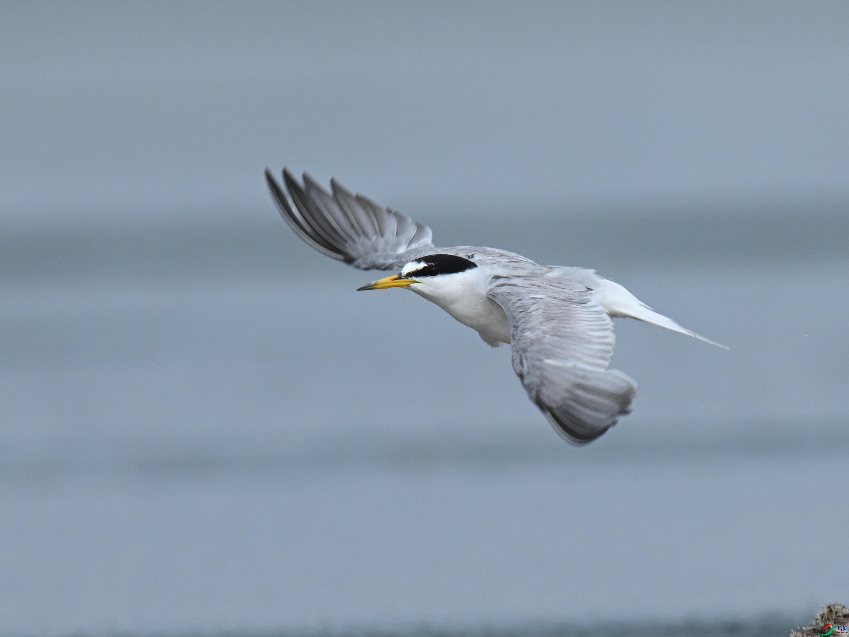 С�׶���Ÿ (95).jpg