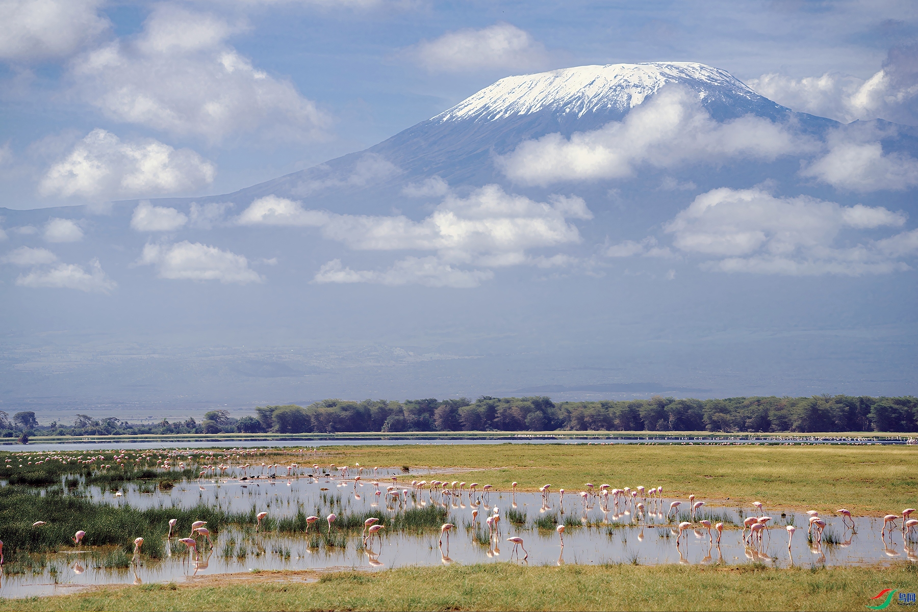 10.12ҰȤ��Ե��ʦ��Ʒ   ѩɽ�µĻ����� ��ף���ٻ����������.jpg